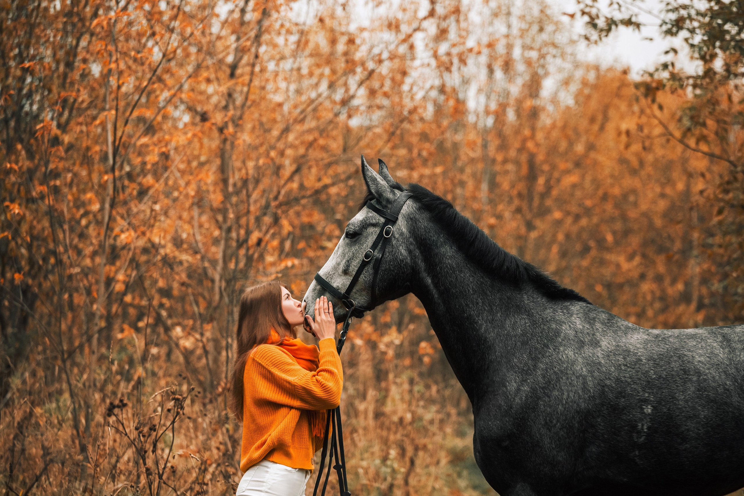 Аня и Джози. Фотограф-анималист Татьяна Степанова