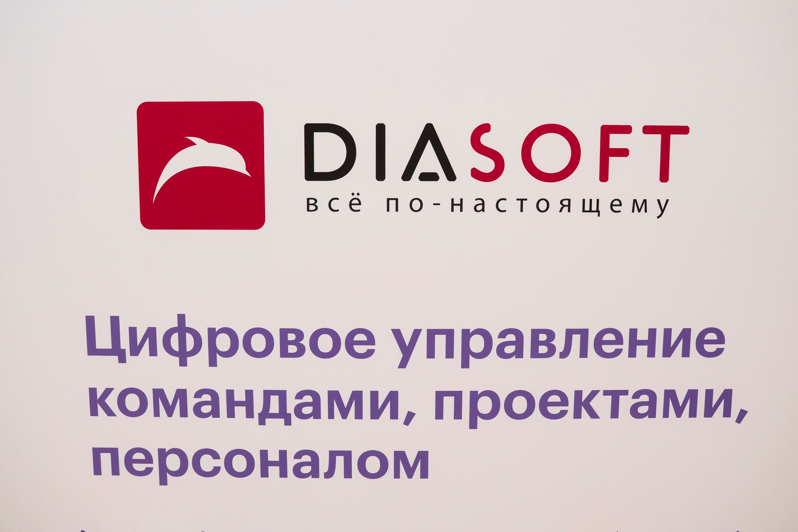 СТАЧКА 2025. Фотограф Перминов Никита СПБ