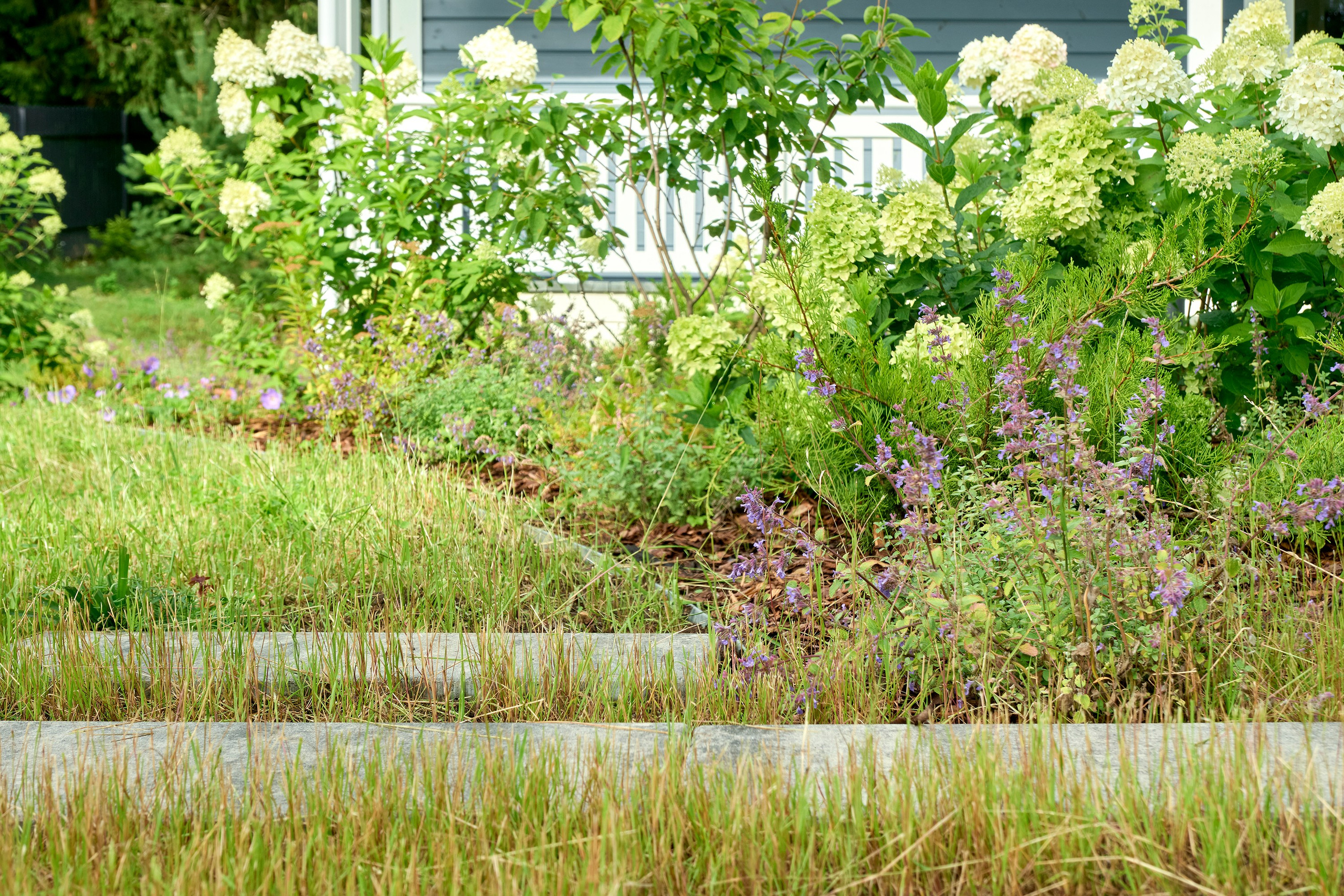Фотосъемка реализованного проекта частного сада в Заполье для ландшафтной студии Хвоя. Фотограф Наталья Соловьева