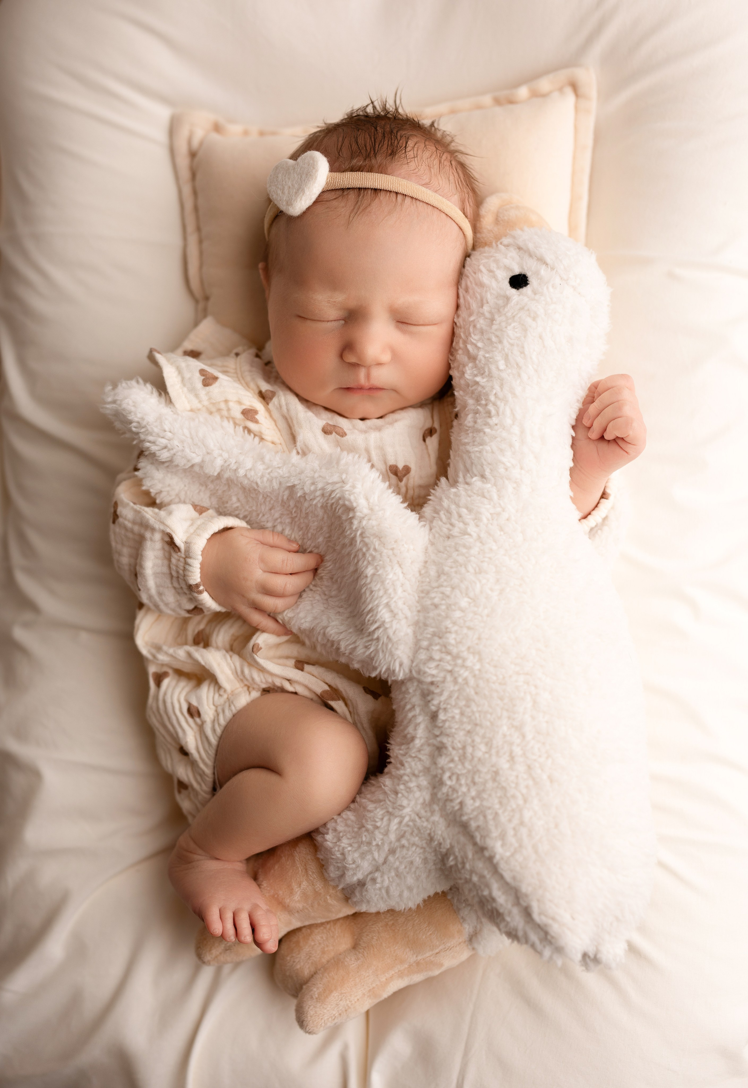 НОВОРОЖДЁННЫЕ. Фотограф новорожденных ньюборн в Новосибирске