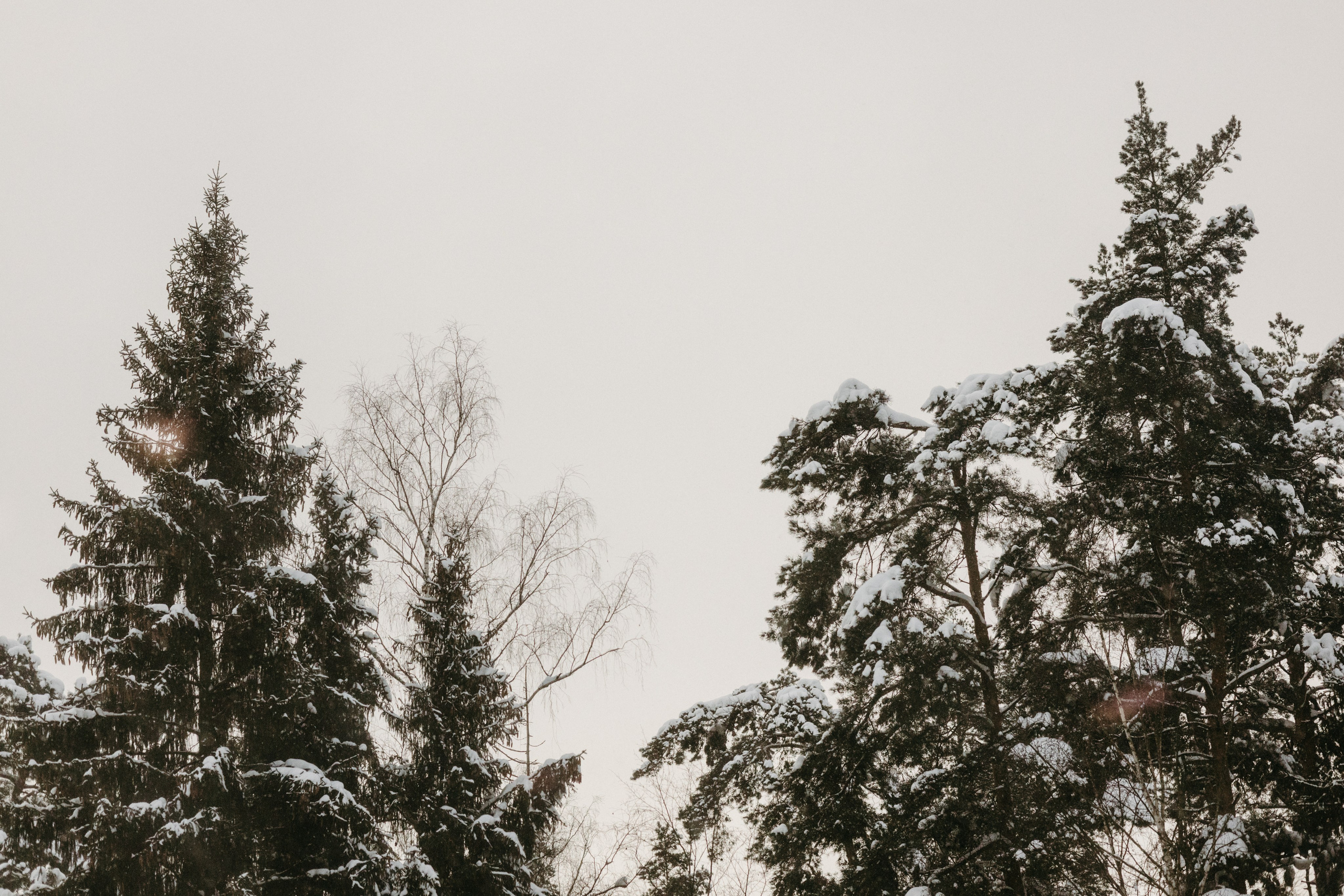 Виды из поезда. Фотограф Эльмира Лин