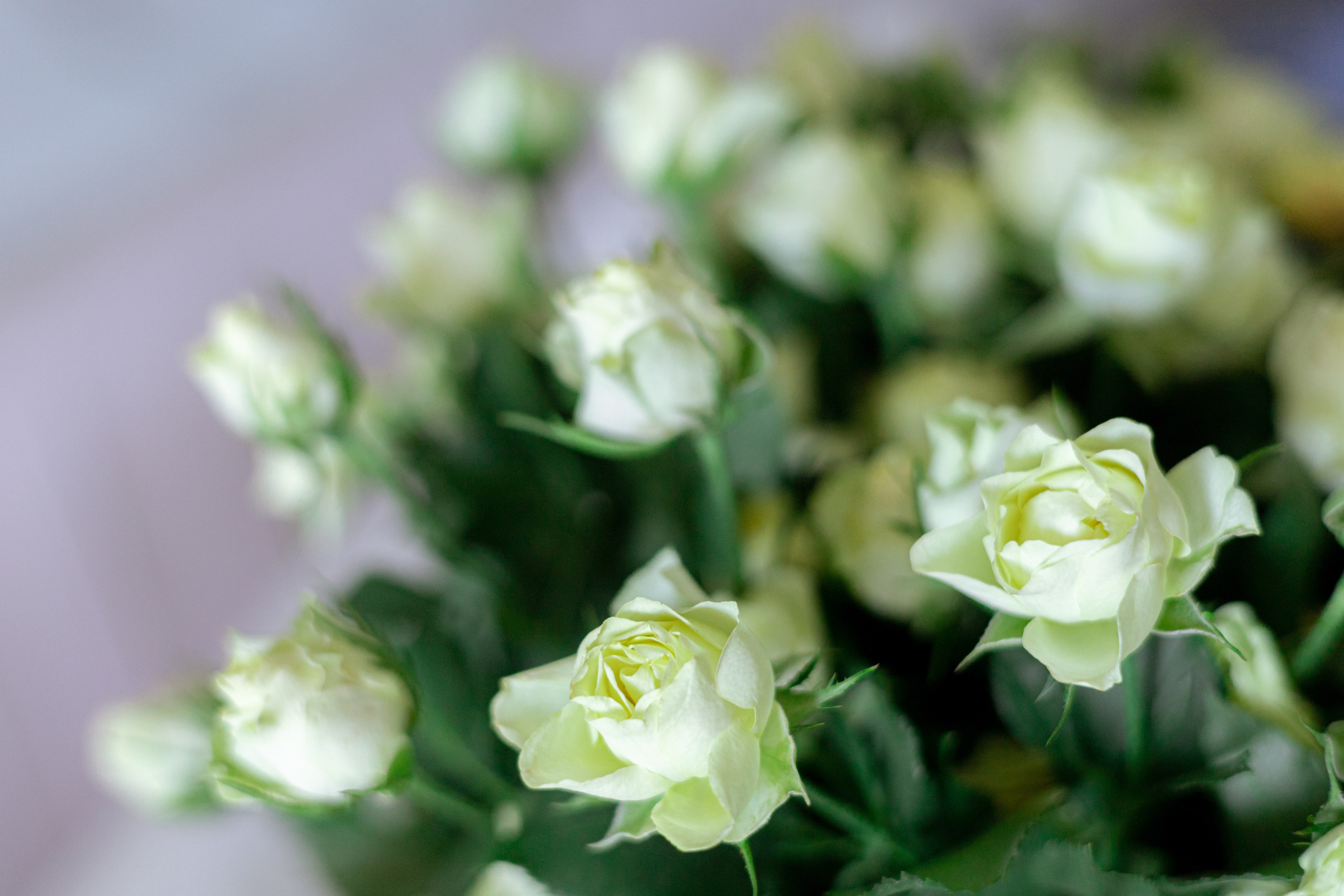 Больше уверенности, меньше ошибок: отчет о мастер-классе по макияжу для подростков (Владивосток). Запись на следующий МК!. Школа для девочек во Владивостоке — Само Совершенство