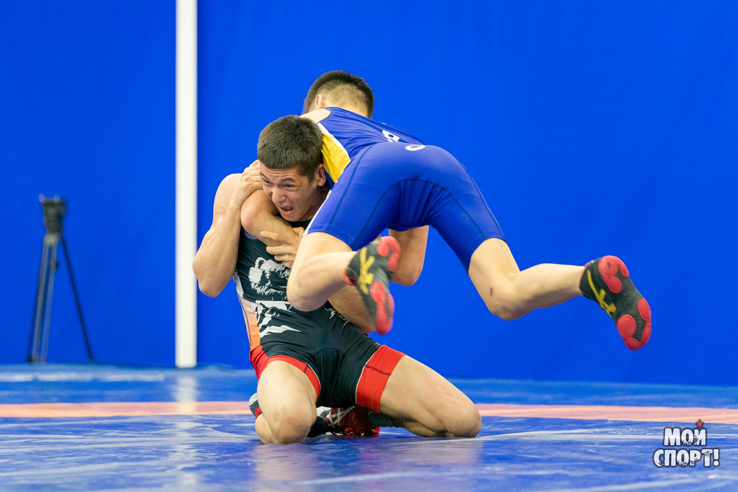 Чемпионат России среди студентов по спортивной борьбе 2024. ГРБ. Студия «Мой Спорт!» — все о спорте в Якутии