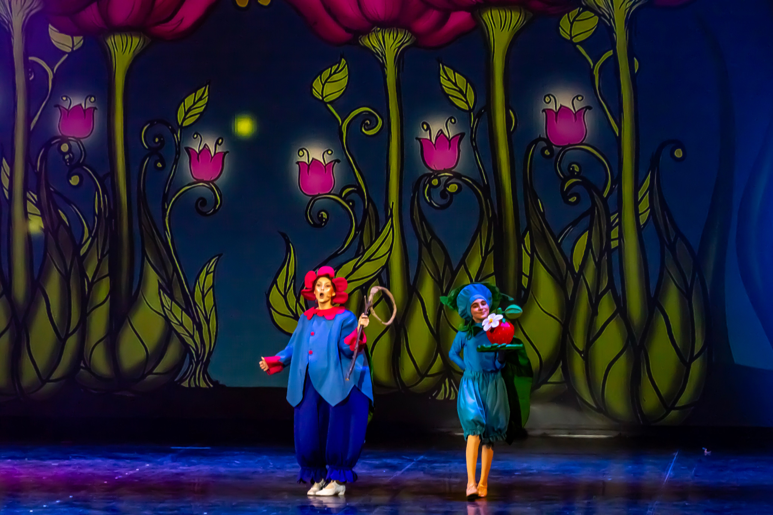 Мюзикл «Незнайка в царстве малюток» премьера Сочи солнышки и Сочи Соло. Фотограф в Сочи Юрий Шептаев