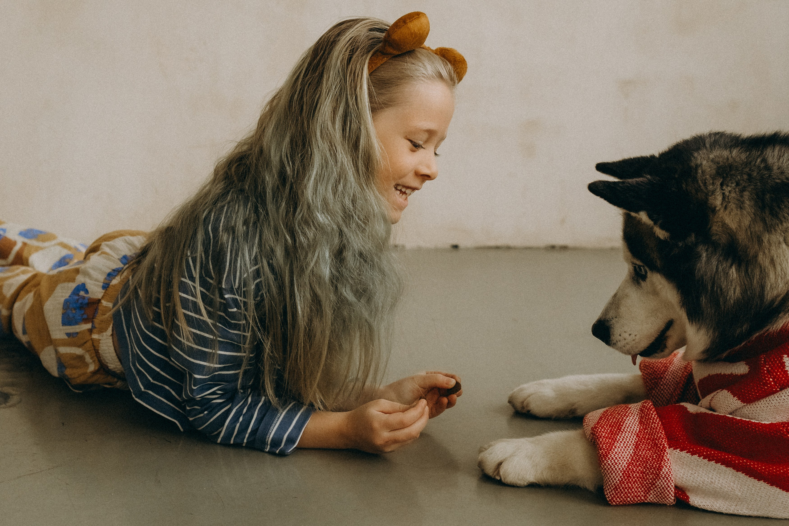 Катя, Лида, Вольт. Главная