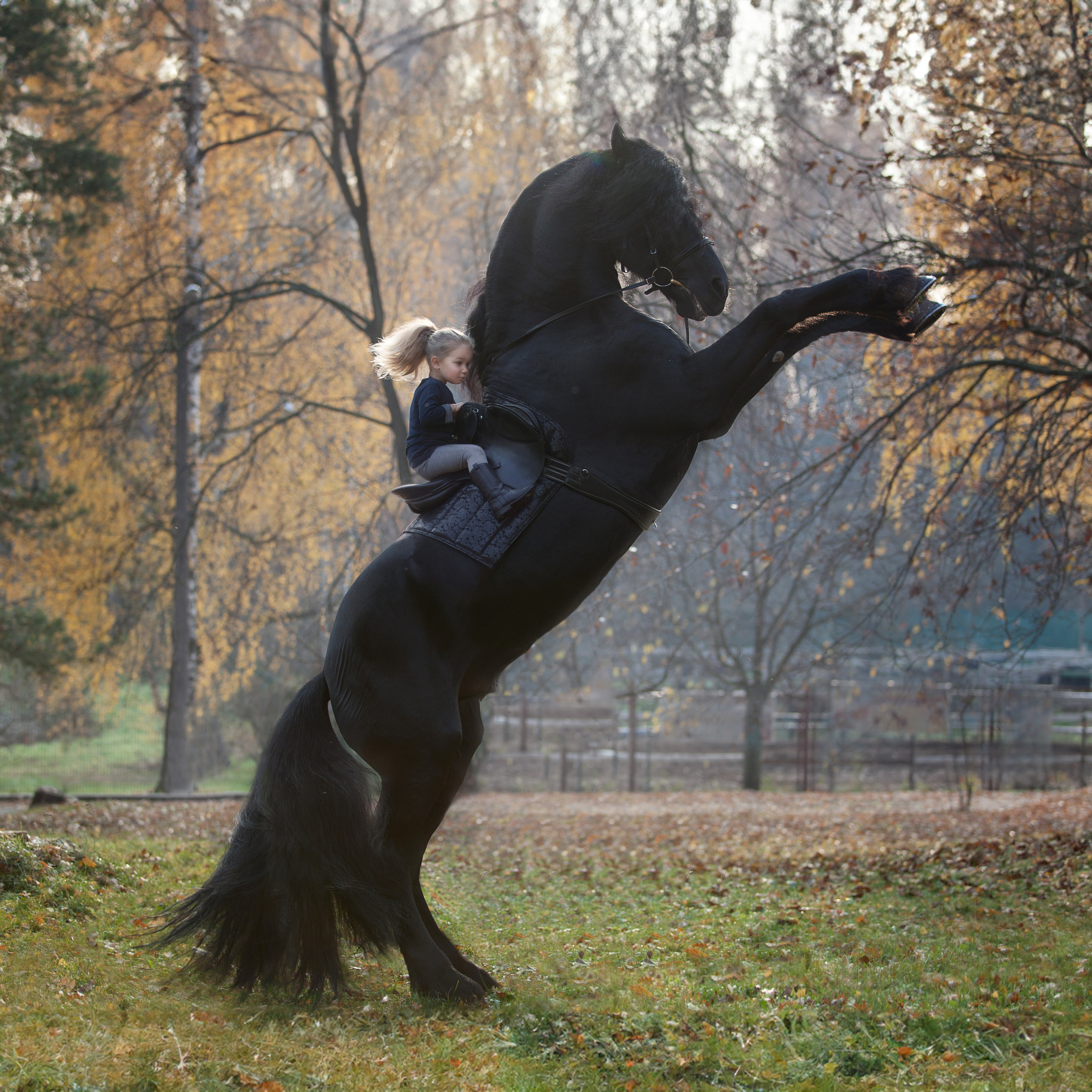Фотосессия с лошадью в Русском стиле. Ольга Бажутова конный и портретный фотограф в Москве