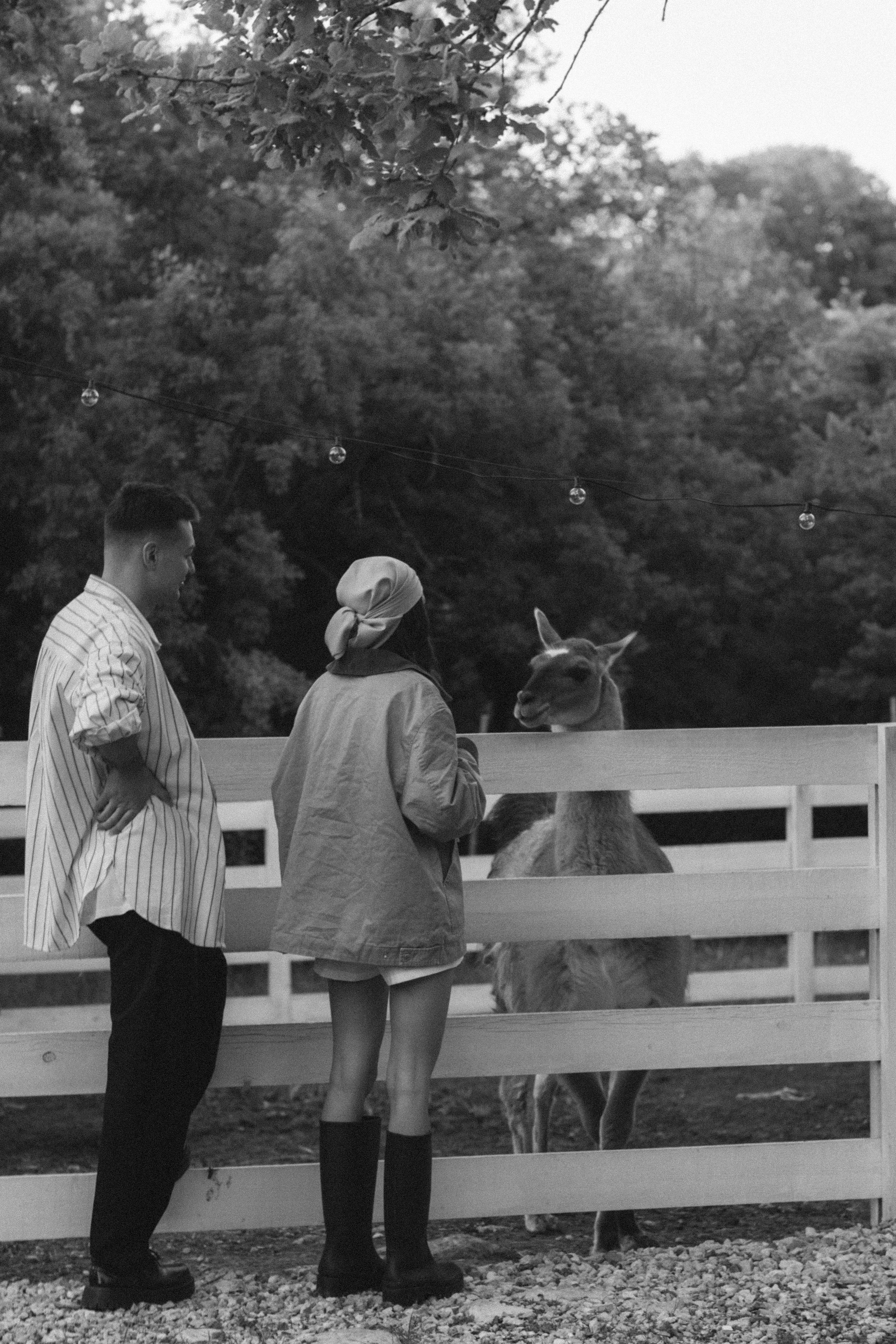 Андрей и Даша. Свадебный фотограф в Севастополе и Крыму. Видеограф на свадьбу Крым, Севастополь, Ялта, Симферополь