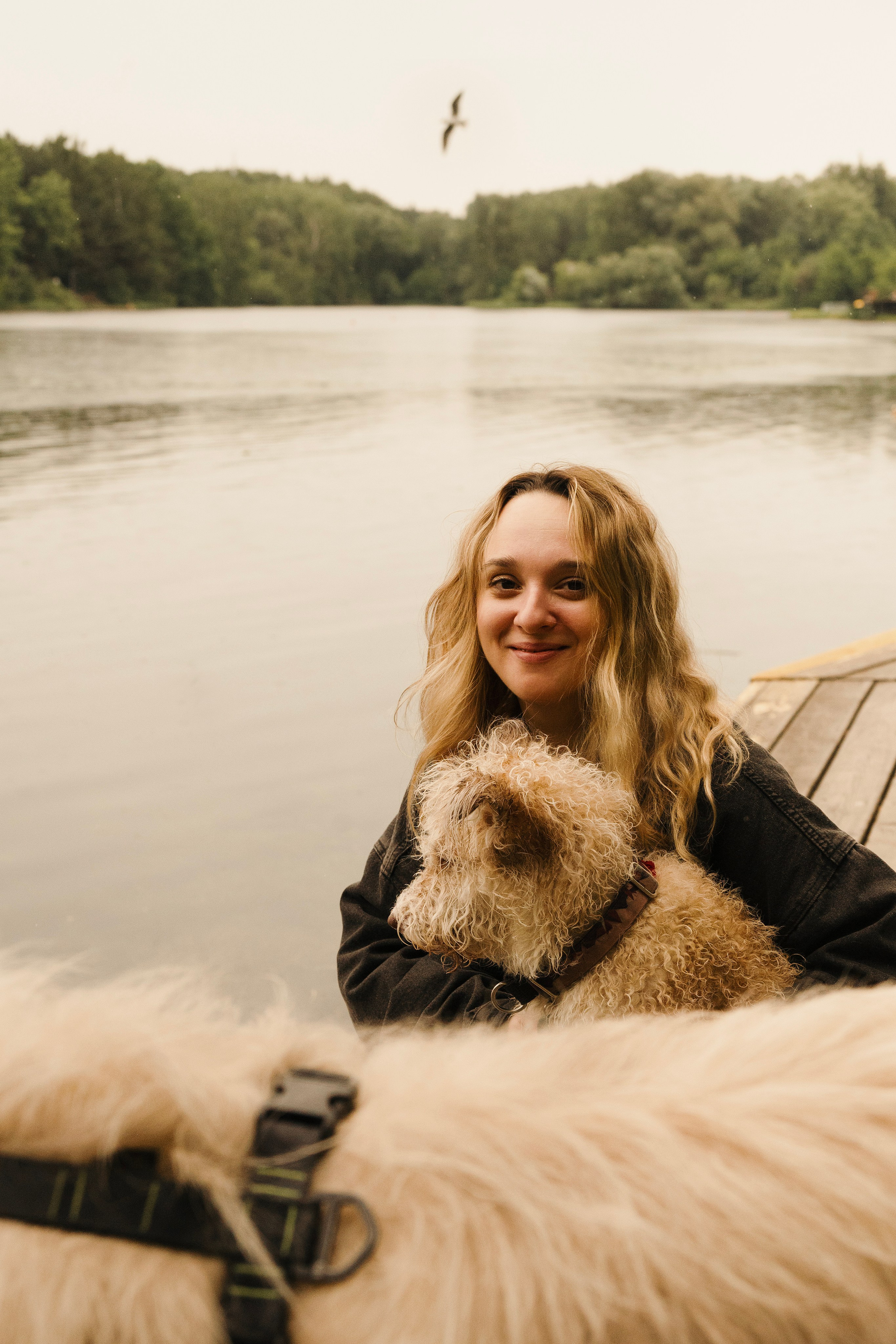 Акиро и Йоши. Фотограф- анималист Александра Матвеева