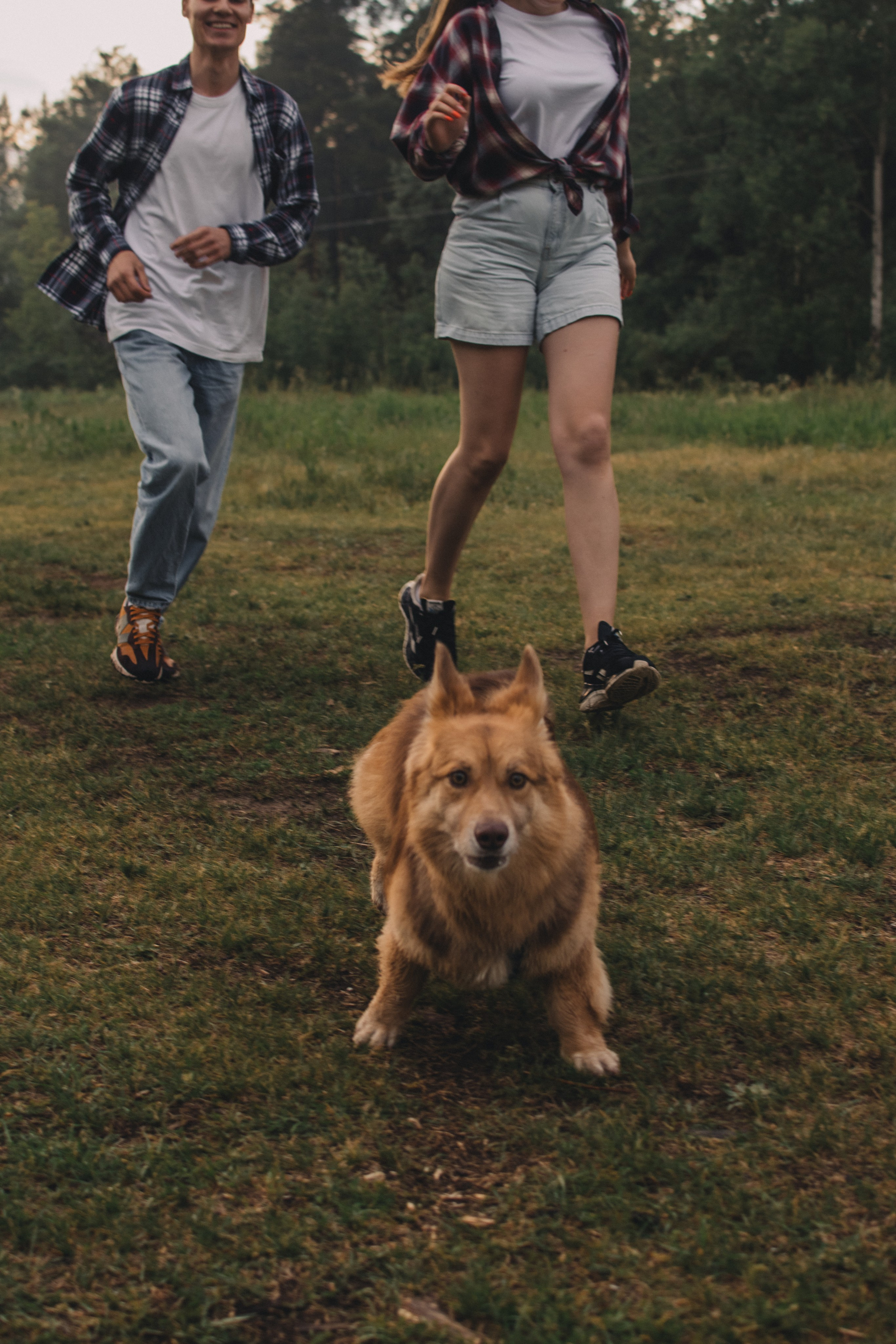 Anya&Alexey. Стильный фотограф Екатеринбурга Veber Anastasia