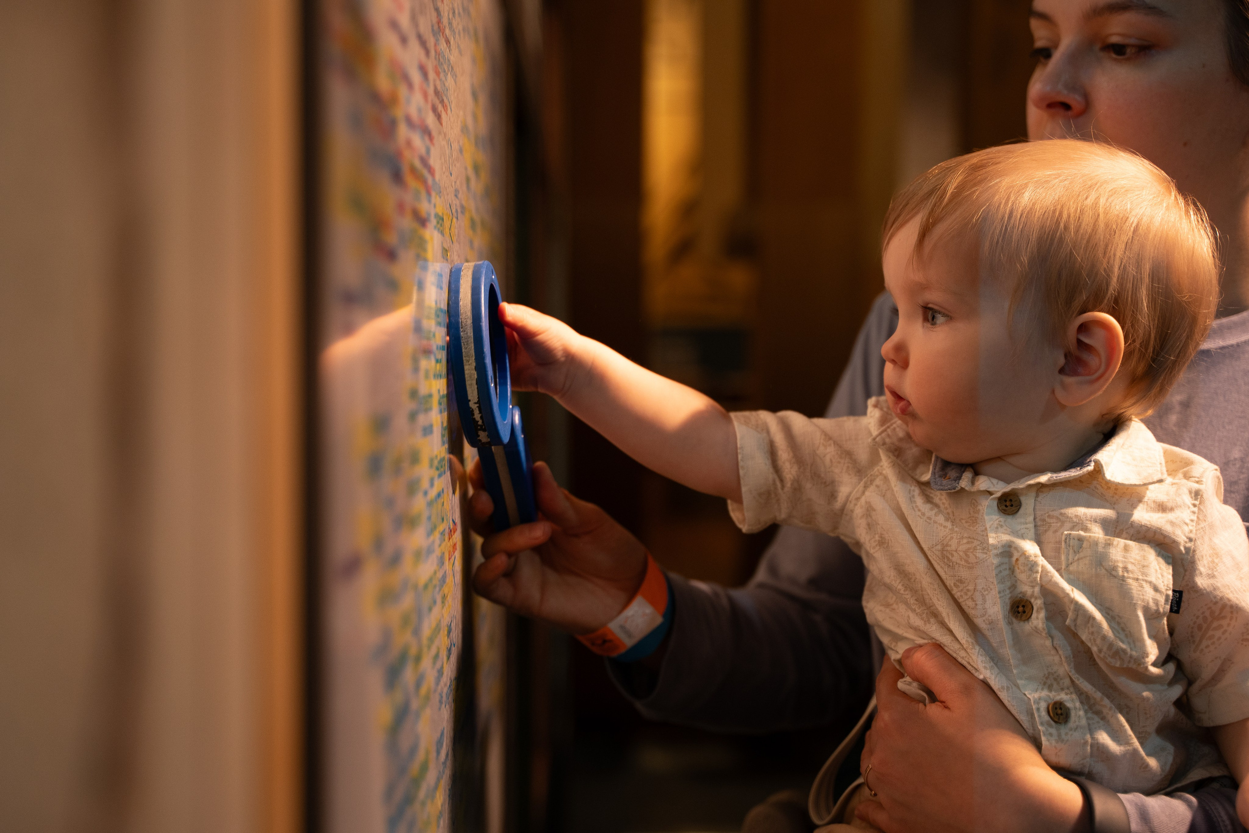 Took root. Wedding & engagement photographer in Seattle, WA. Tania Maureira