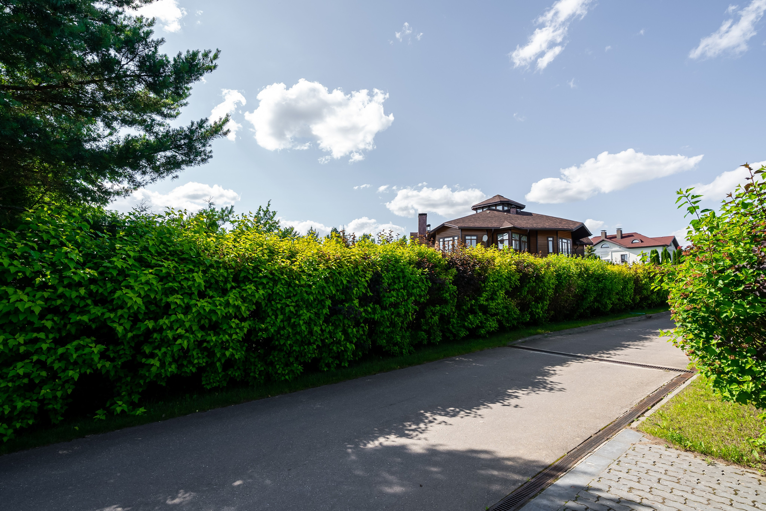 СНОВИДОВО. Фото и видео-съемка Андраник Хачатурян