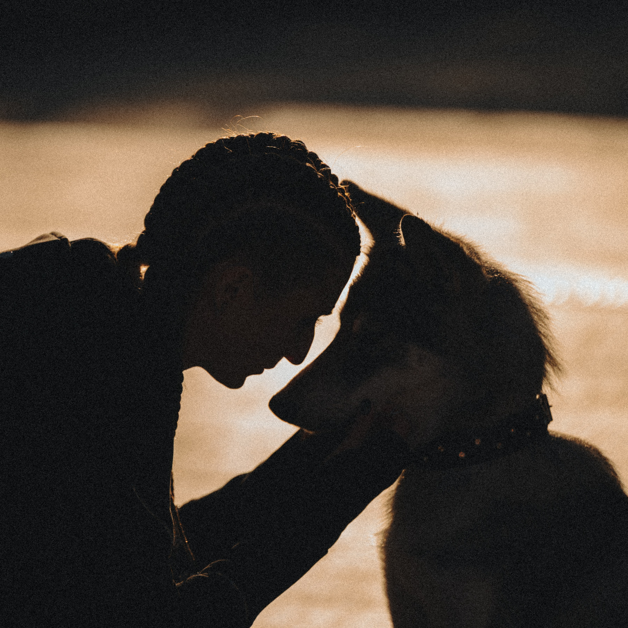Вика и Кора. Семейный фотограф анималист Ананьева Мария — Москва