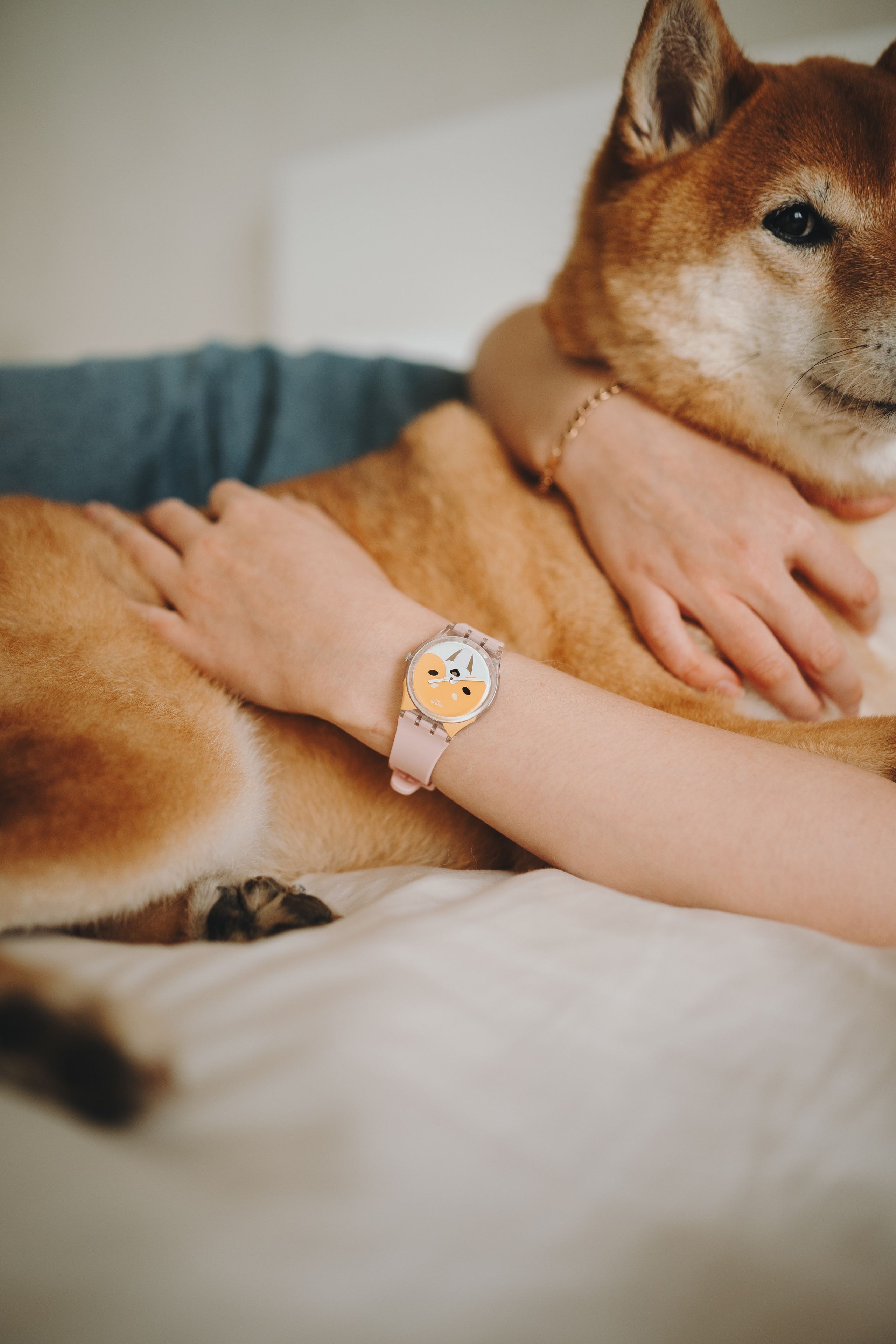 День рождения Кексика. Семейный фотограф анималист Ананьева Мария — Москва