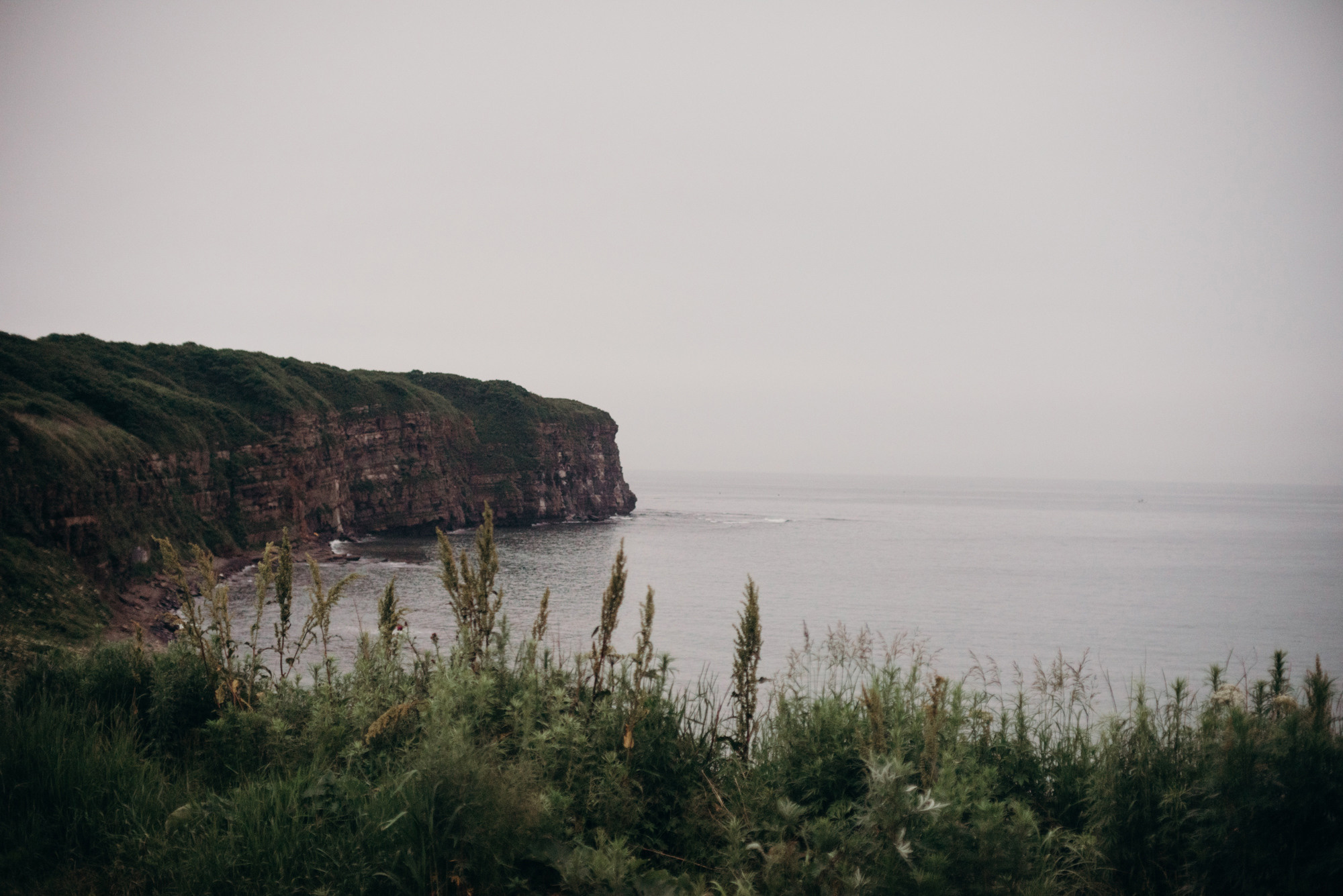 Лиза и Андрей. Свадебный фотограф во Владивостоке Гарагуля Игорь