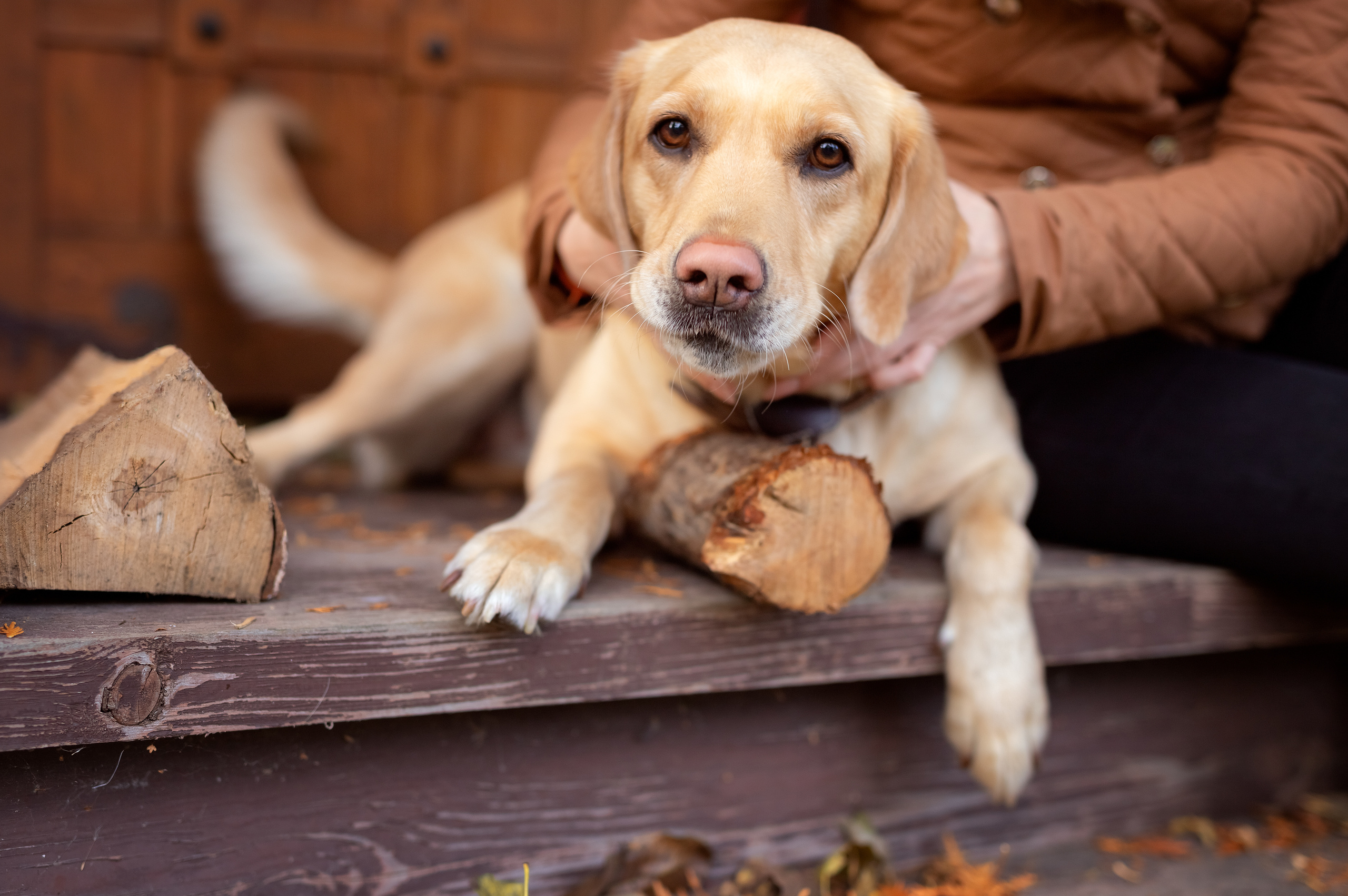 Семейная прогулка Александры и Андрея. Фотокомпания «Алые паруса» выпускные альбомы Москва и МО
