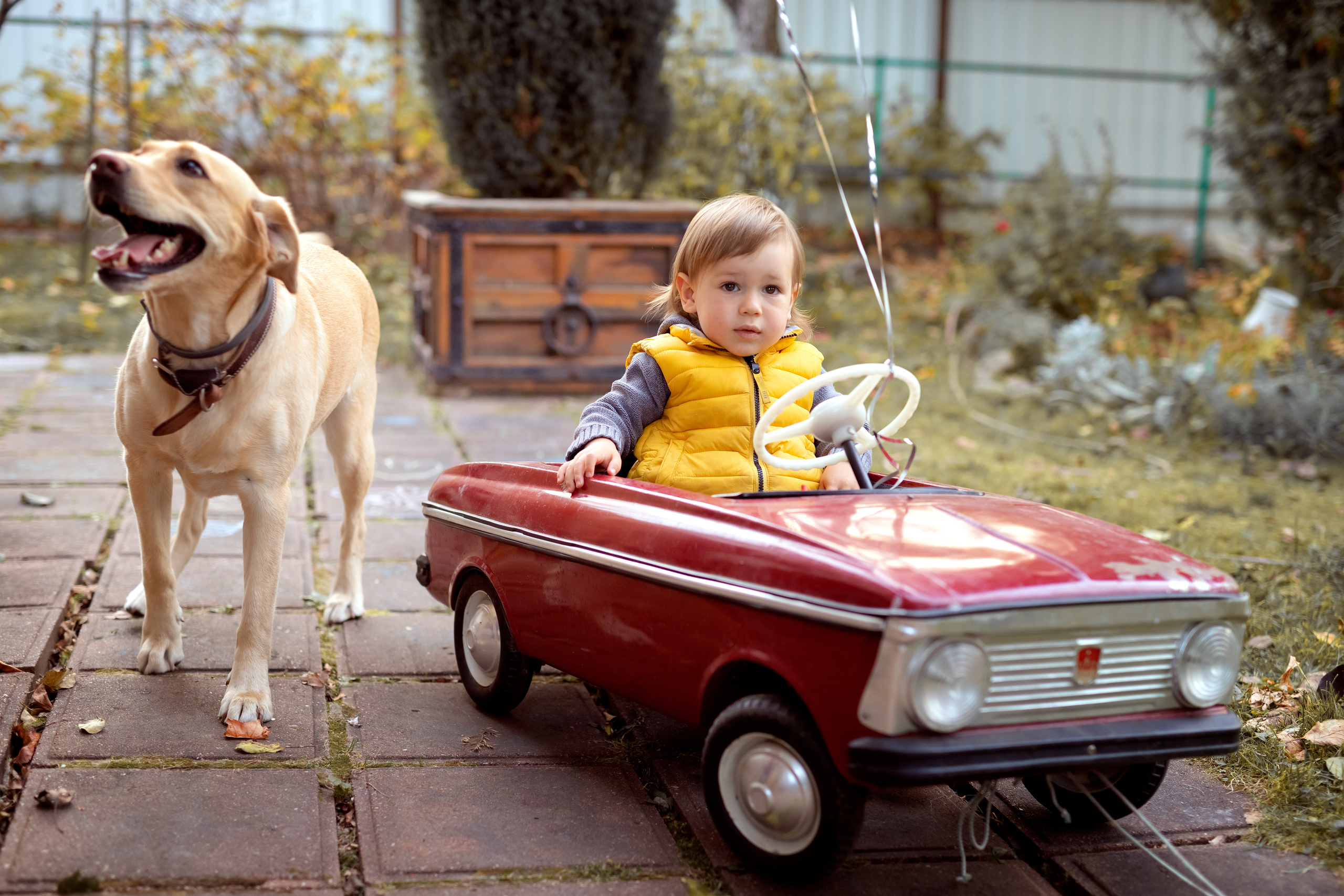 Семейная прогулка Александры и Андрея. Фотокомпания «Алые паруса» выпускные альбомы Москва и МО