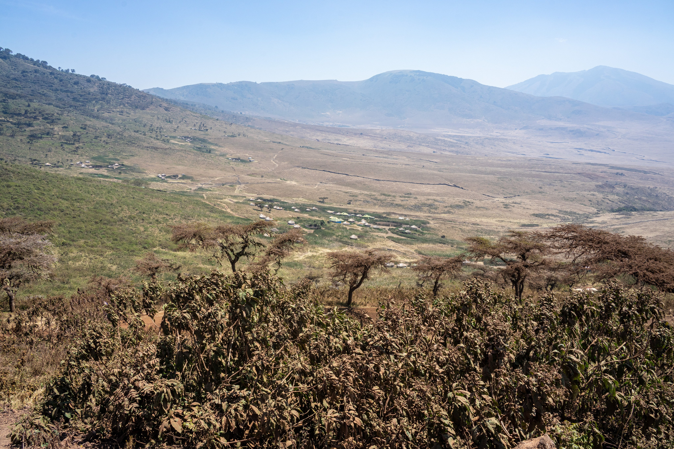 Танзания, сафари, 2025. Творческие сьемки