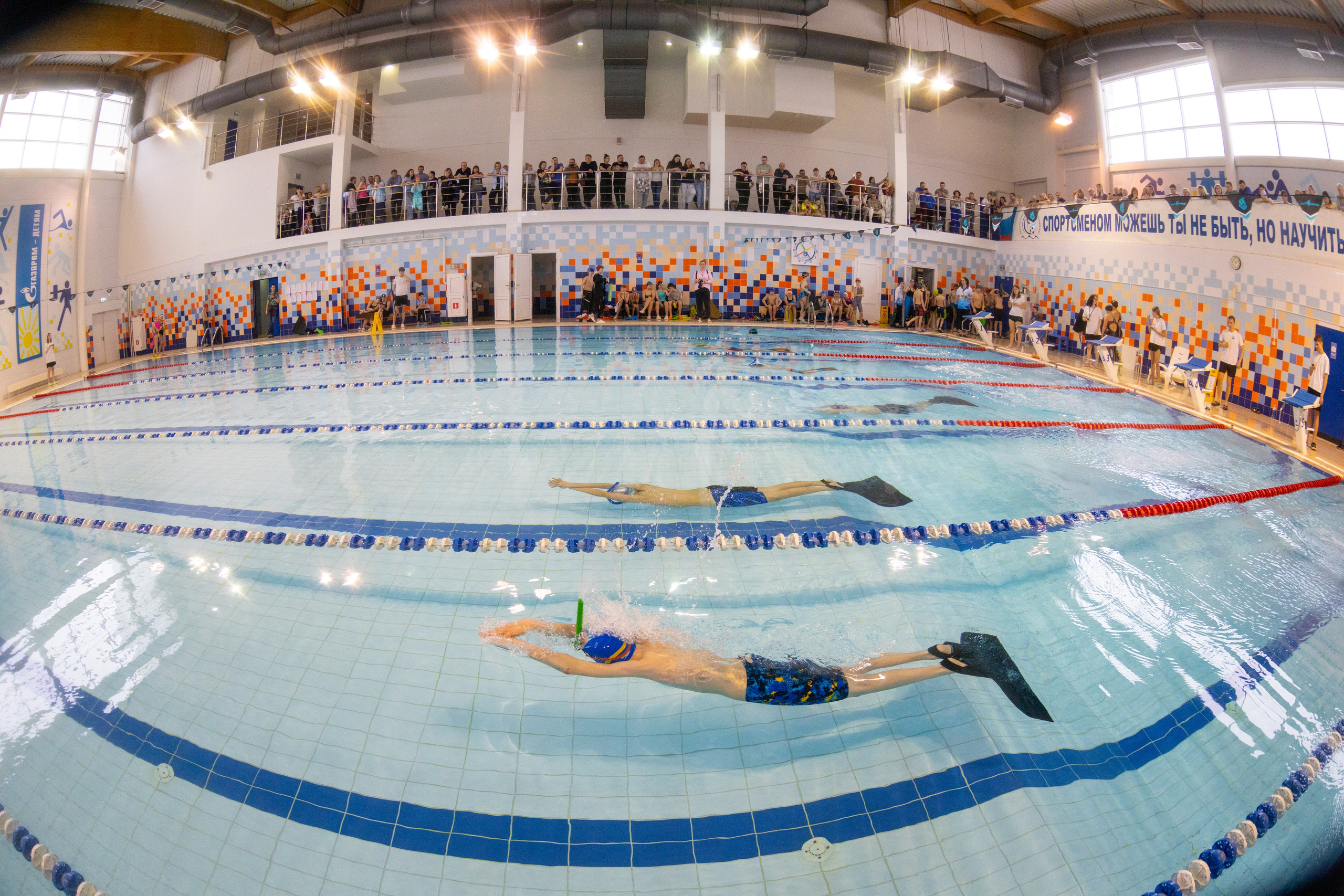 Плавание в ластах (разные годы, более 10 репортажей выборка пополняемая). Фотограф в Туле Крупский АнДРей. Фотостудия «КАДР71» в Туле