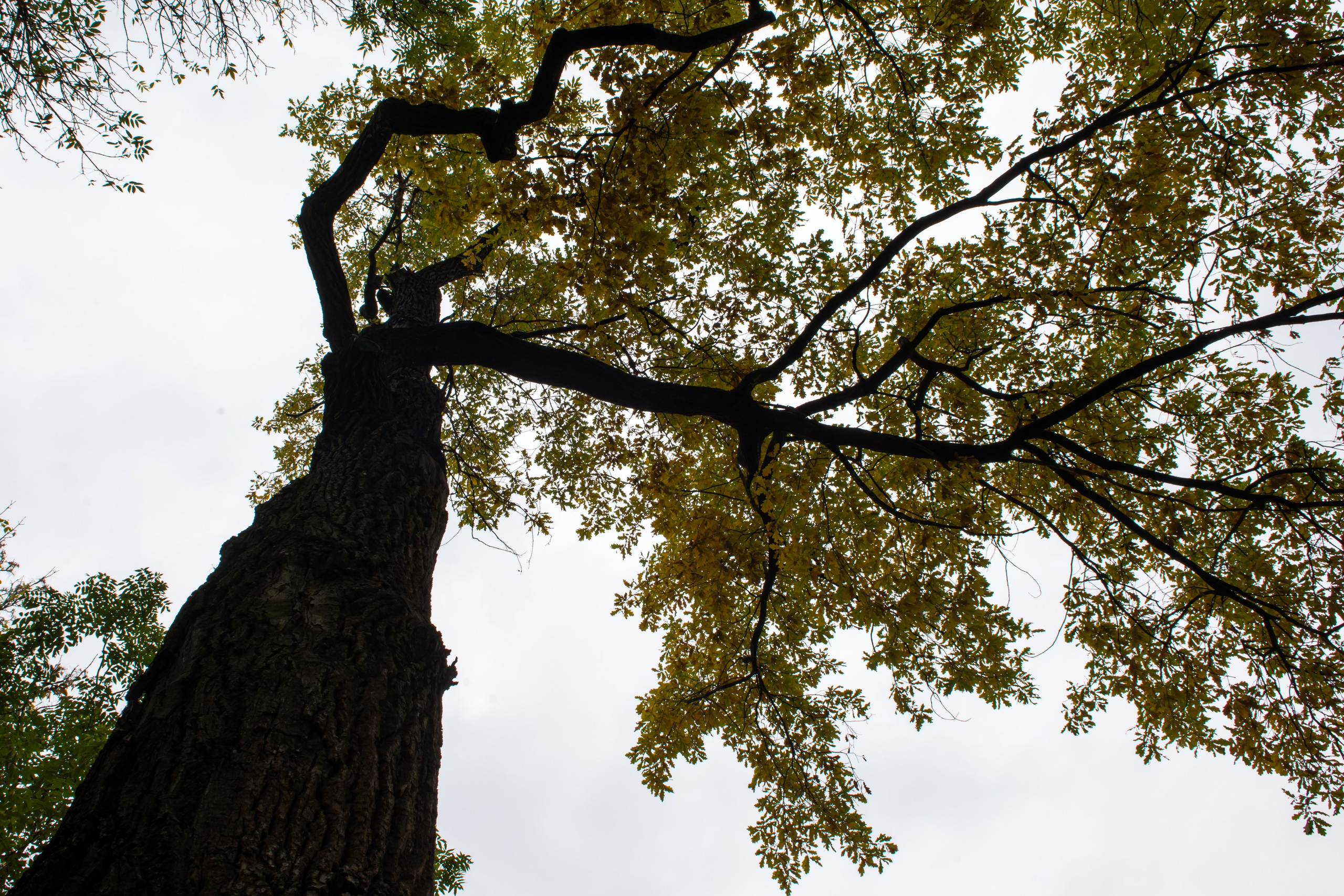 Dimitri Bakhtadze, colour photos. Dimitri Bakhtadze photographer