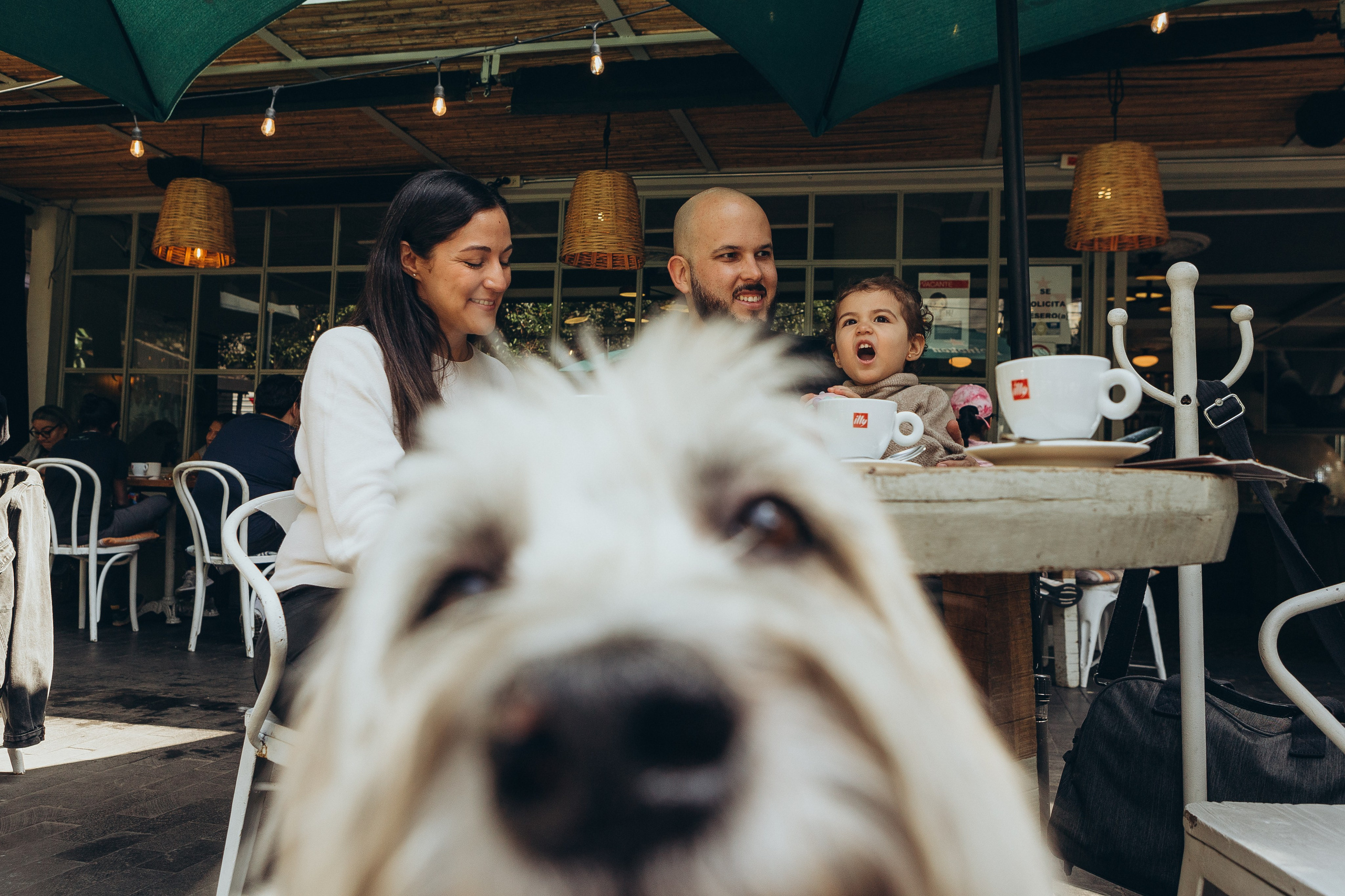 Sesión de fotos familiar en Ciudad de México: lo que necesitas saber. Irina Krokhaleva. Fotógrafa de familias y parejas en Ekaterimburg, Rusia