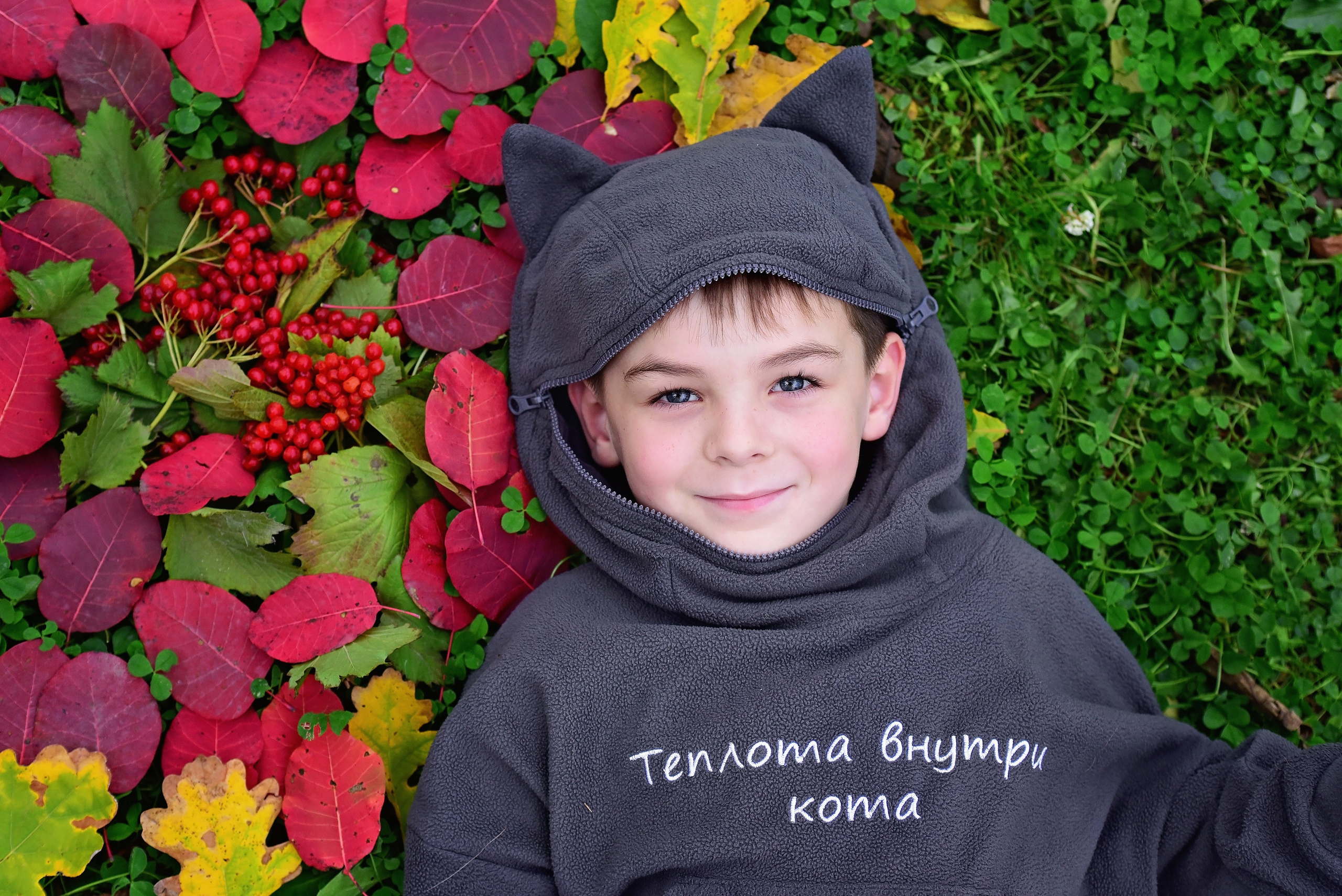 Осень. Главная