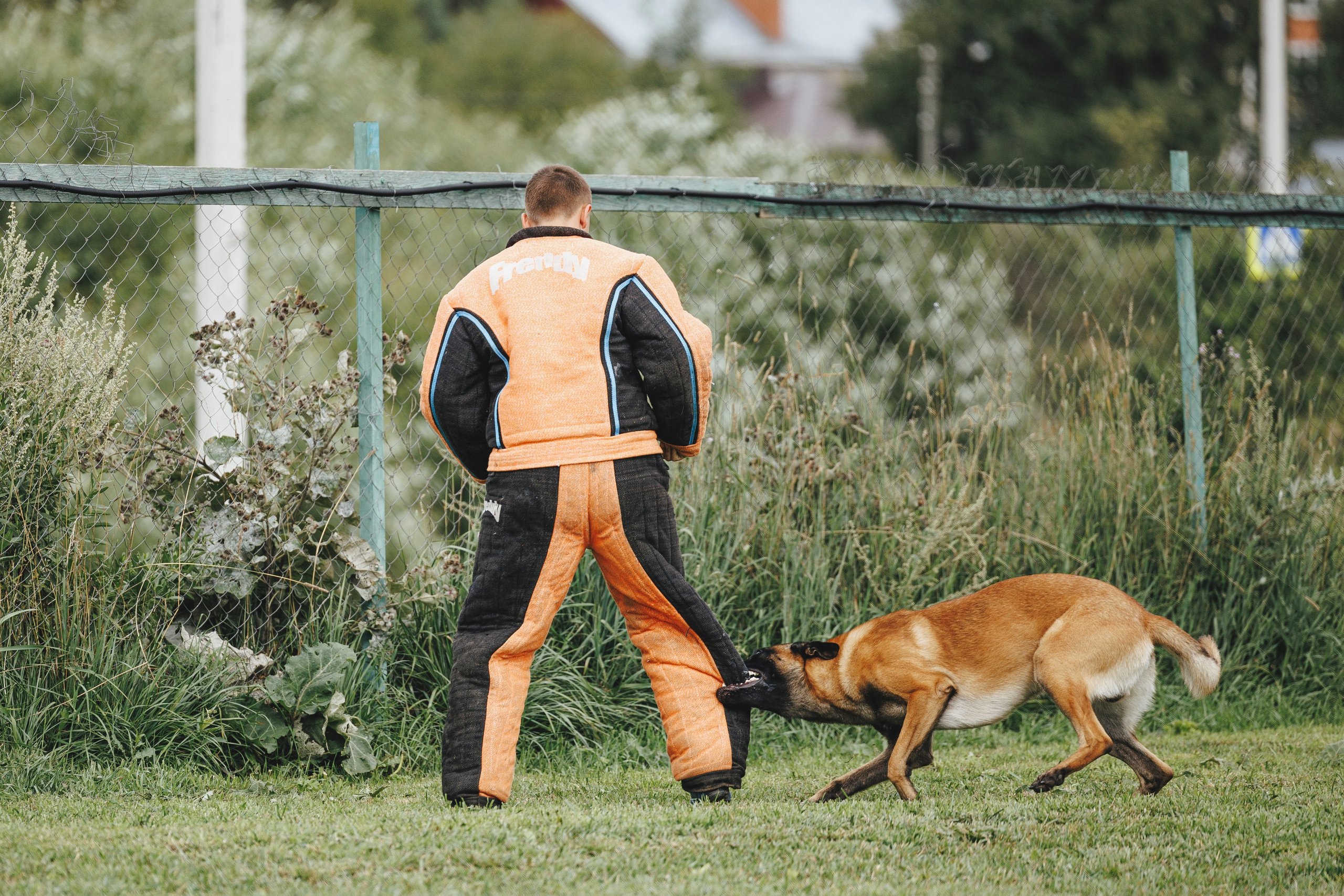 08.08.25-10.08.25 ЧР по мондьорингу г. Вологда. Фотограф-анималист Анна Маринич