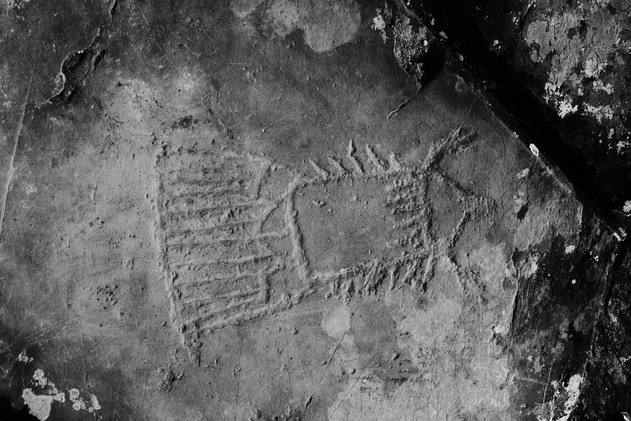 Алтай в ожидании лета. Shaltay Gallery