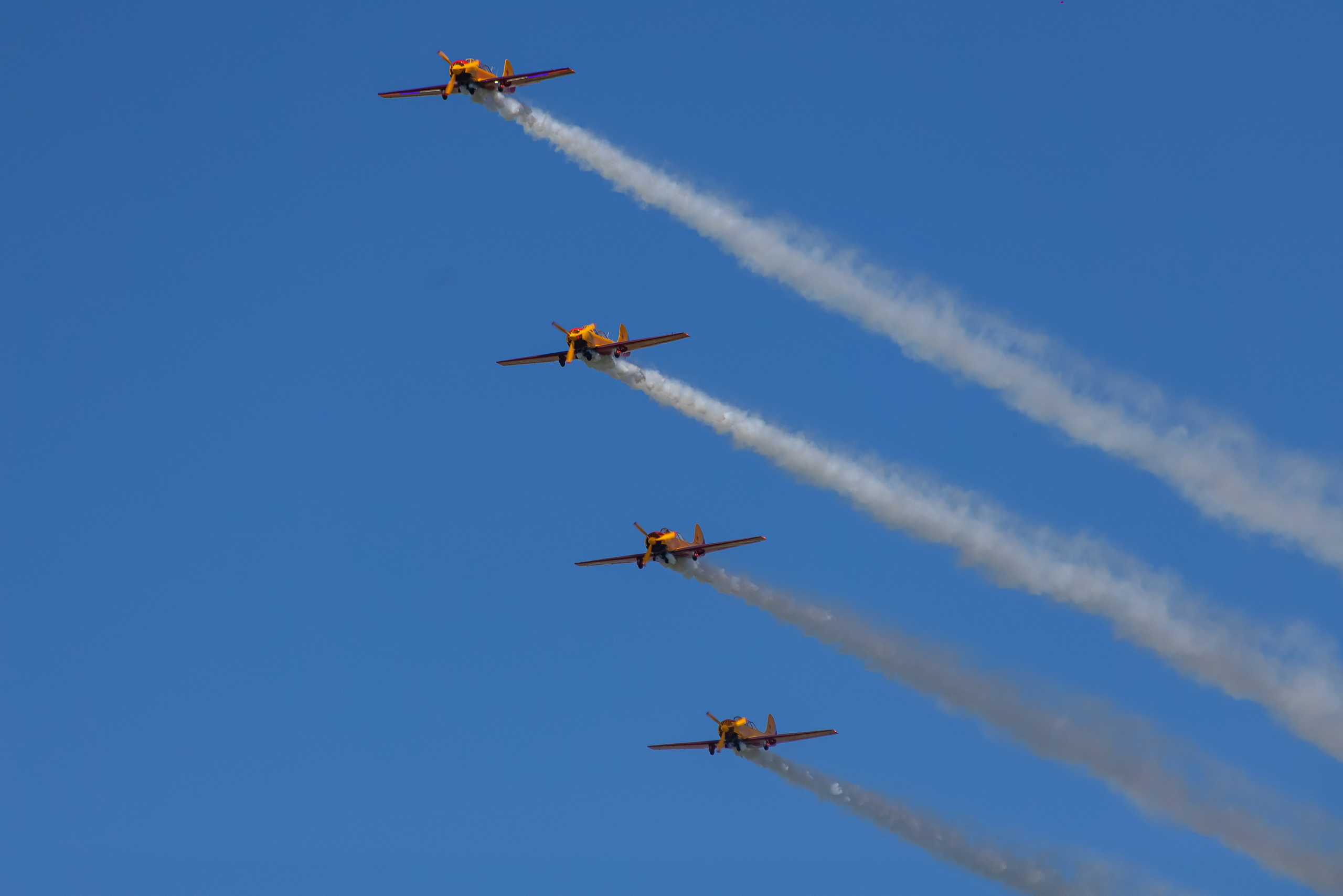 Крылья Пармы 2025 г. KATERINA VINOKUROVA ФОТОГРАФ ПЕРМЬ