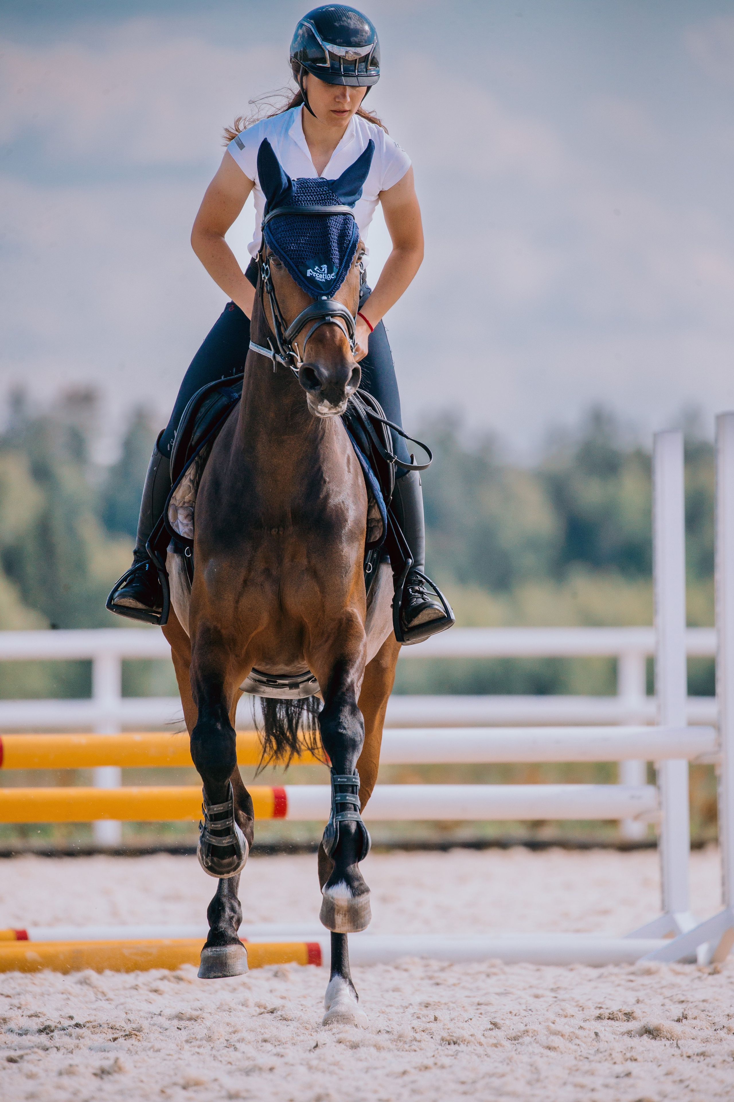 Тренировки. Фотограф-анималист Ксендзова Кристина