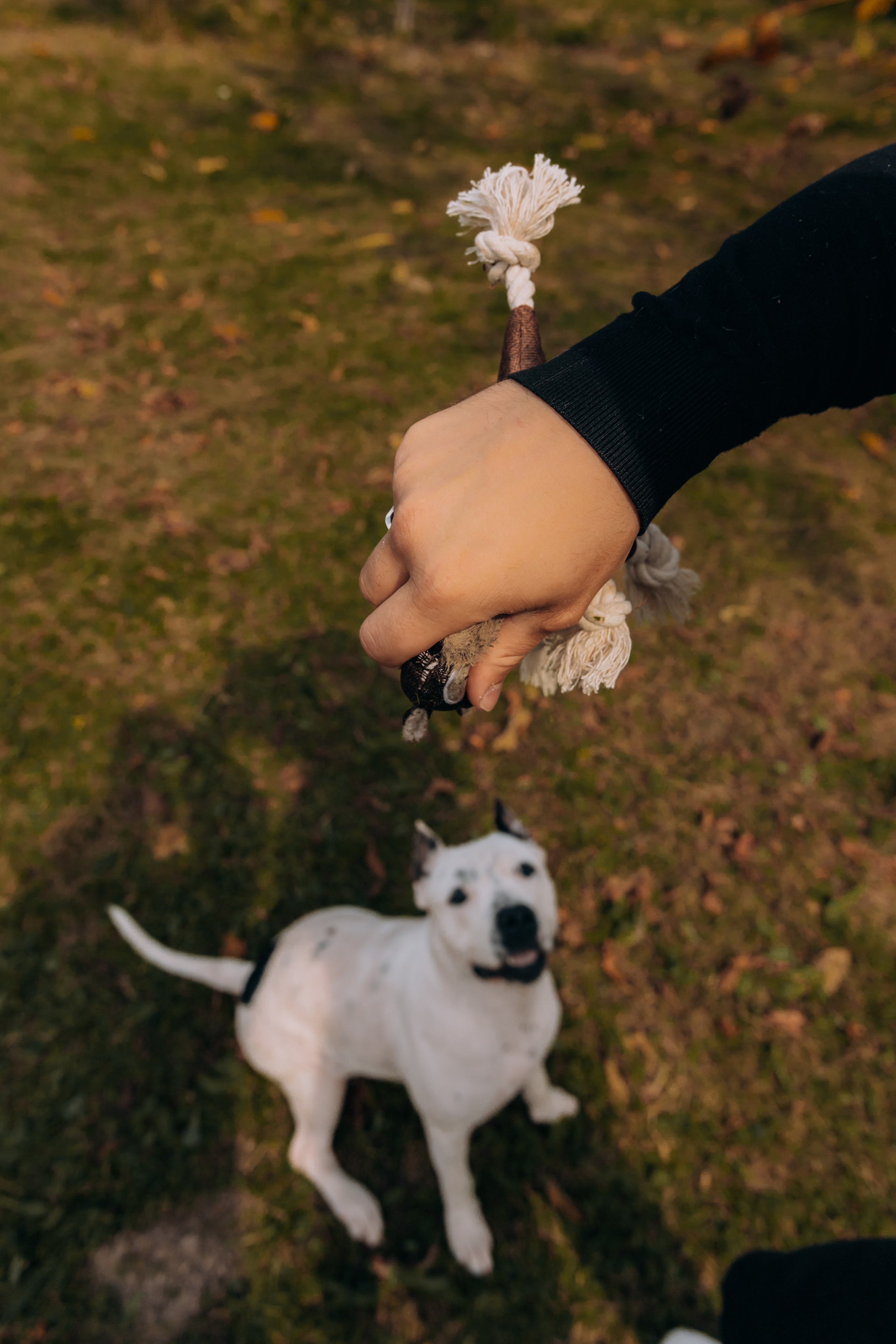 Назар & Дарья. Фотограф во Владивостоке. Юрганова Анна