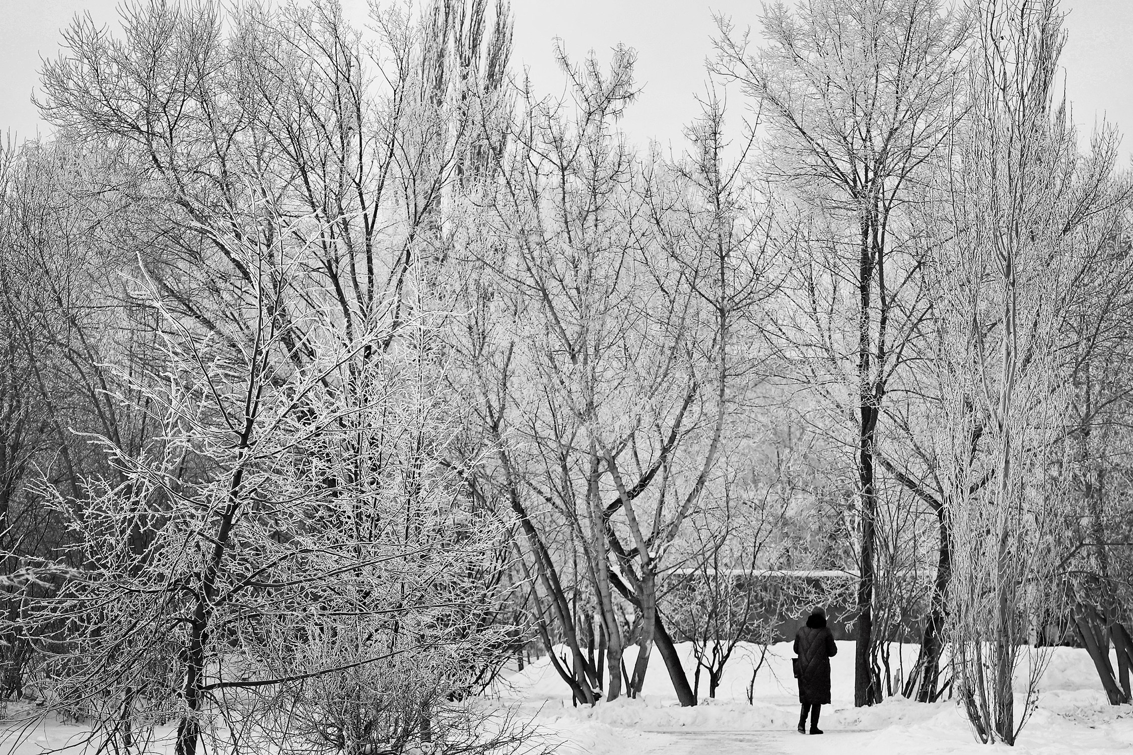 Улицы. Фотографии Марины Бурнашовой