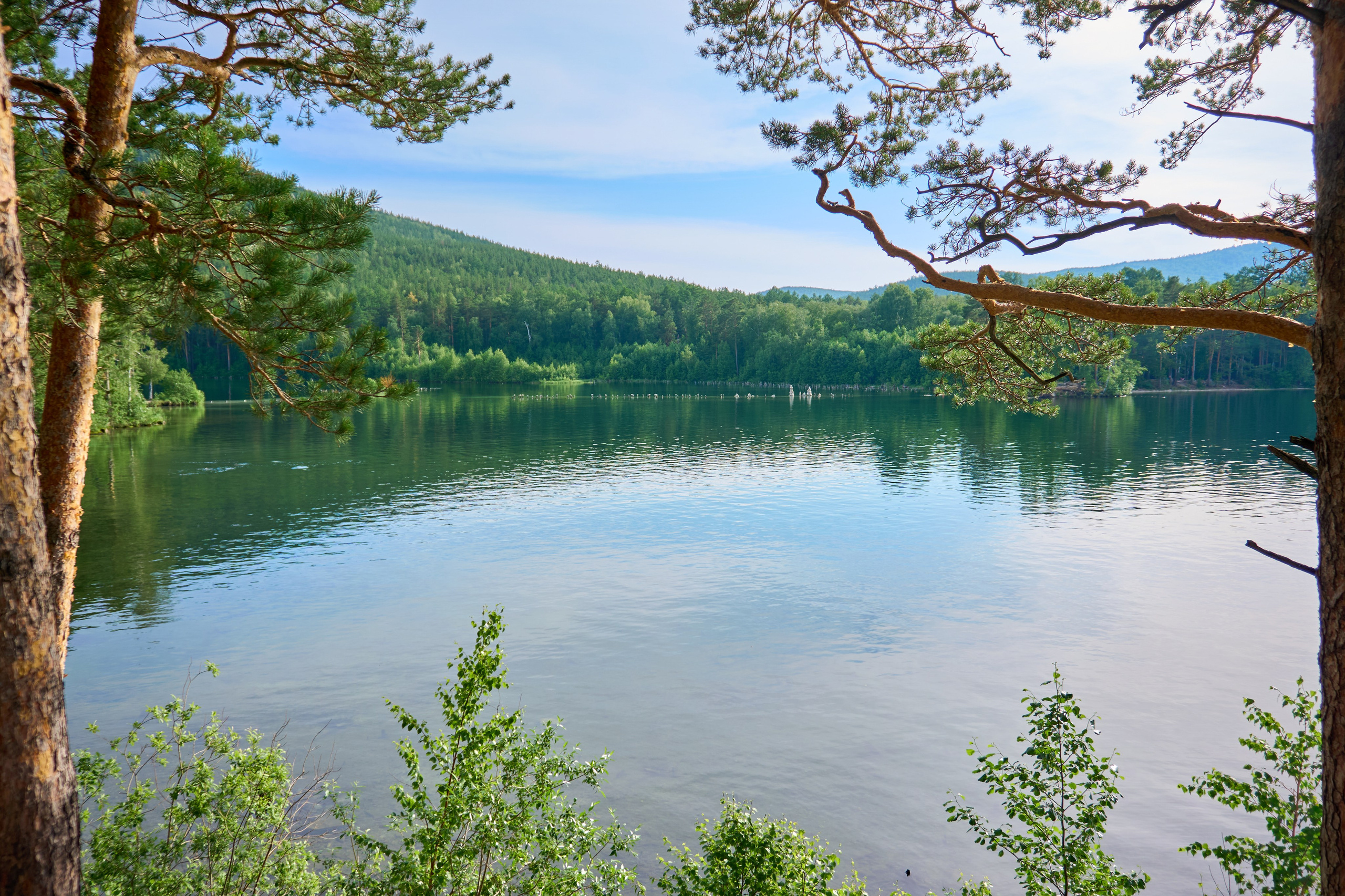 Репортаж/Портреты. …