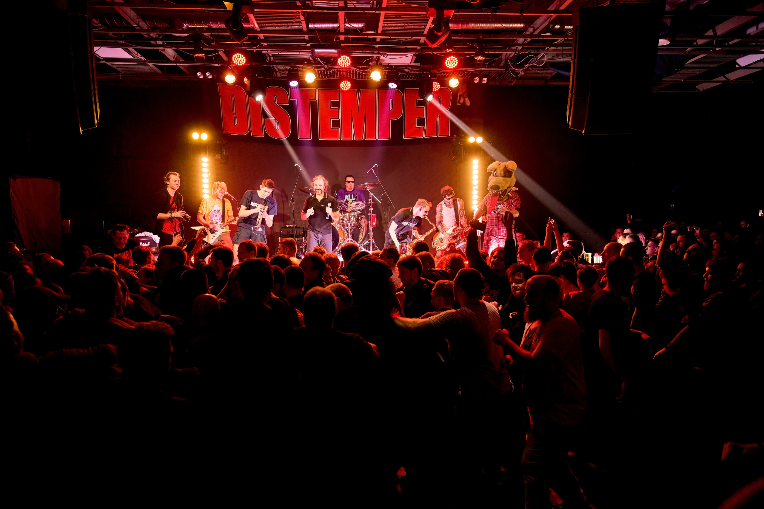 DISTEMPER / AGLOMERAT / 24.11.2023. Ekhovanov | фото- видеосъемка