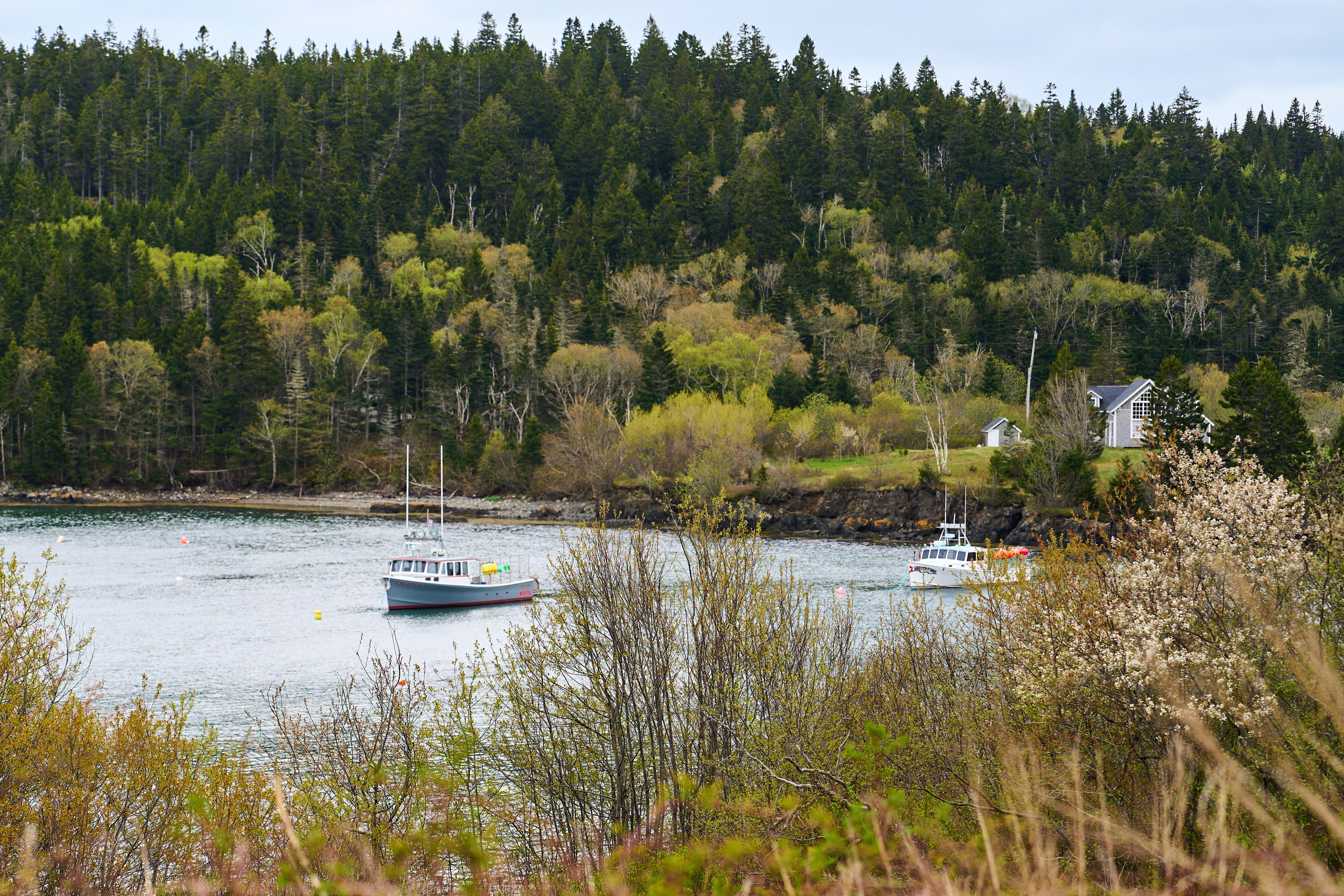 Spring 2025 – Cutler.