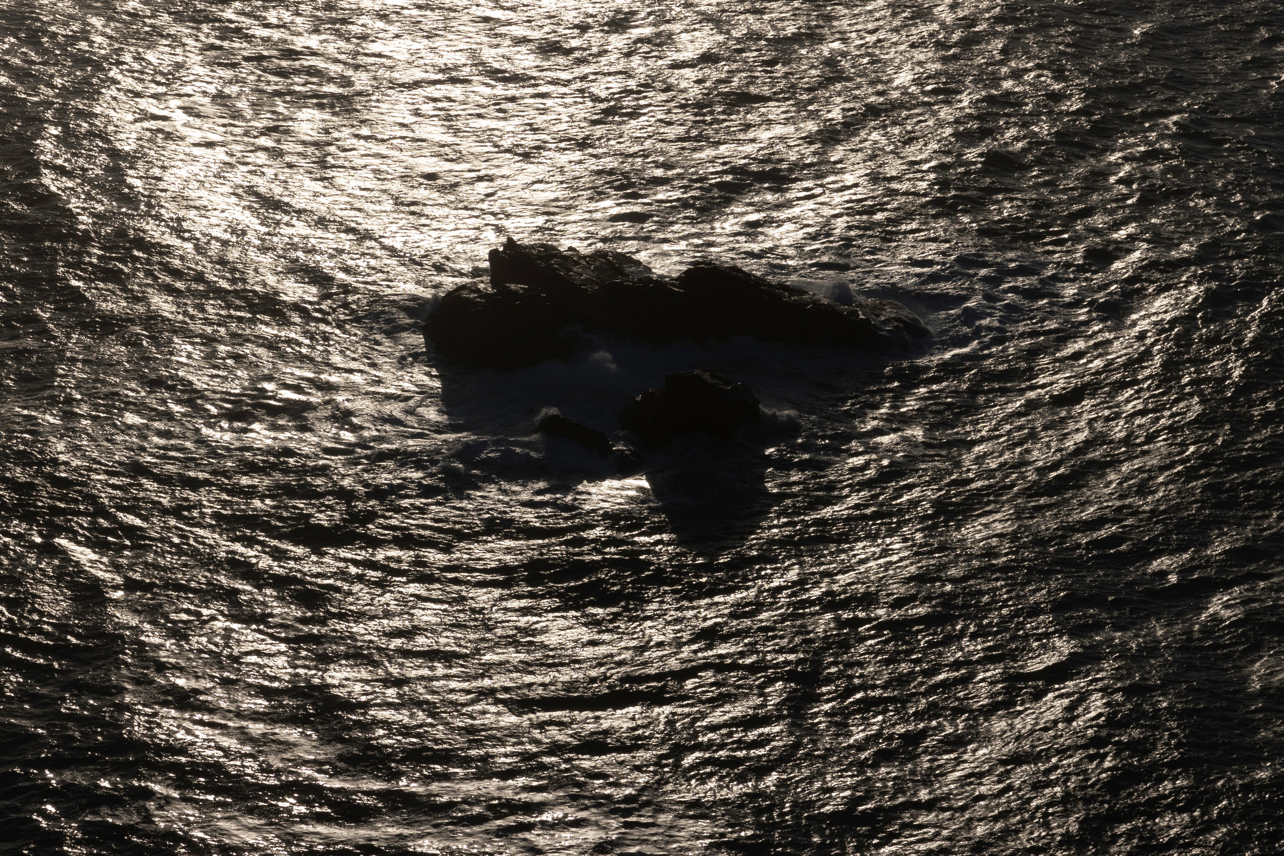 Art prints. Фотограф алина стерхова, алина стерхова фотограф, фотограф москва