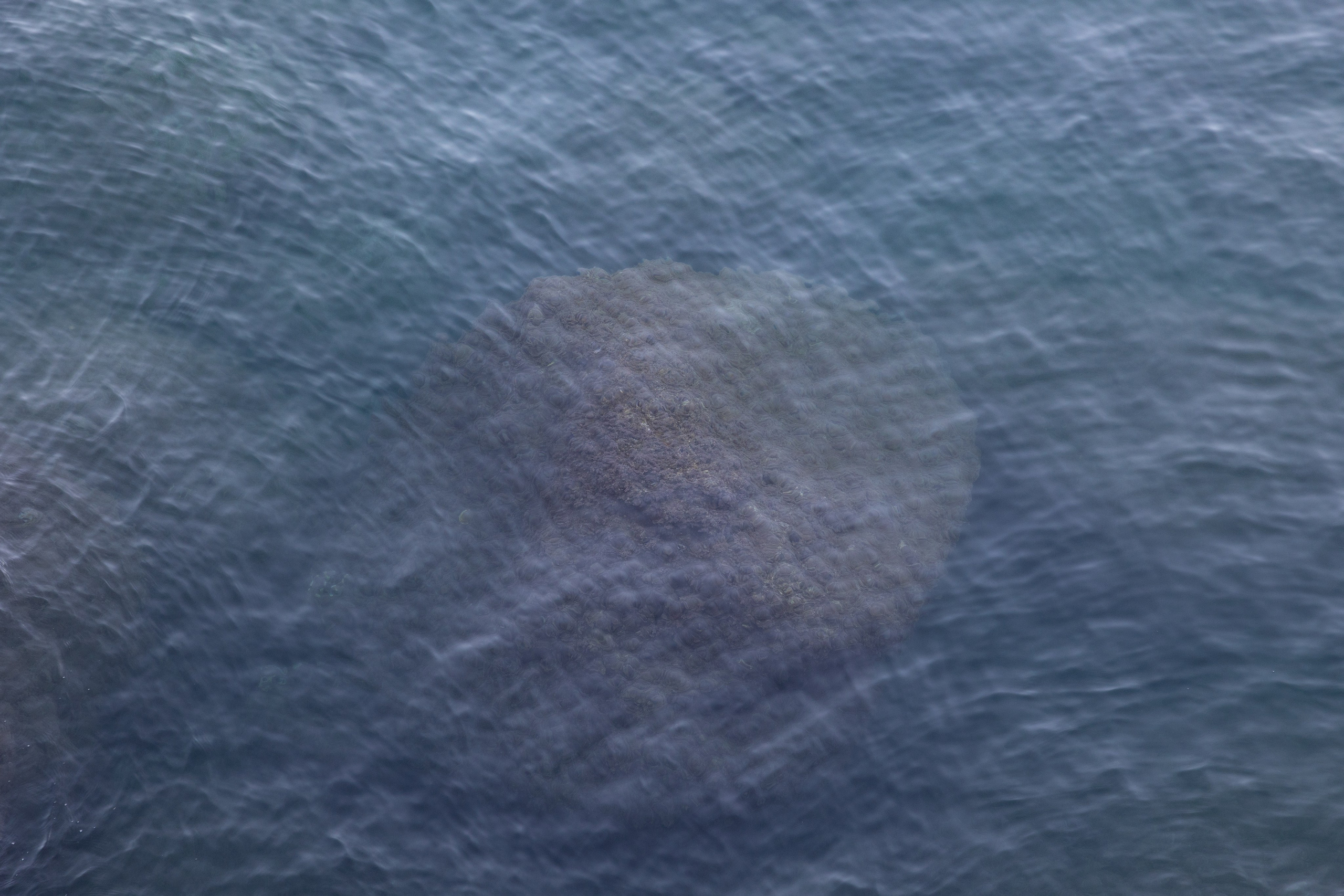 Art prints. Фотограф алина стерхова, алина стерхова фотограф, фотограф москва