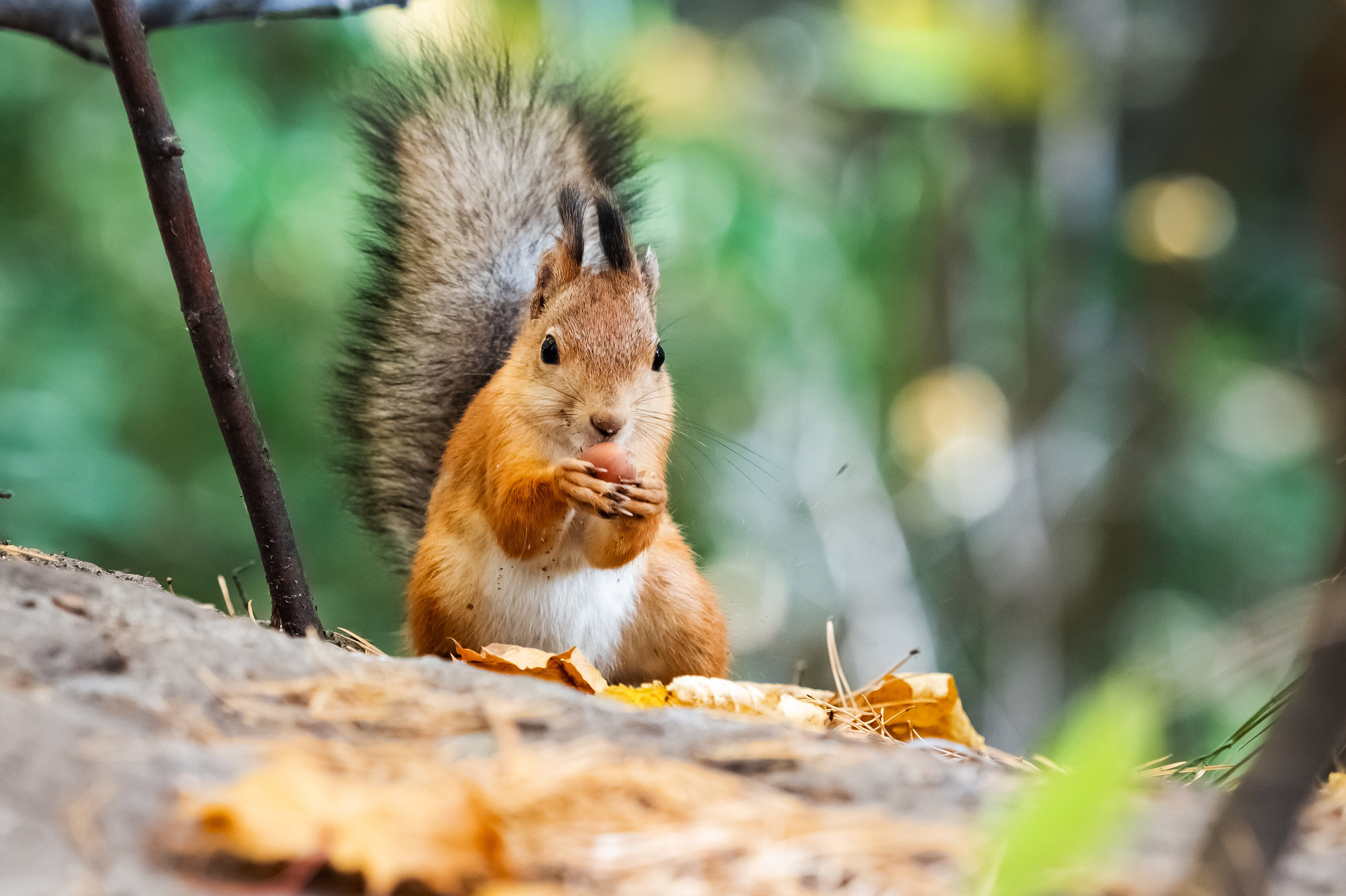 Красота Заречного. Репортажный, семейный и детский фотограф в Пензе и Заречном Арина Ермилова. Картины барельеф на заказ