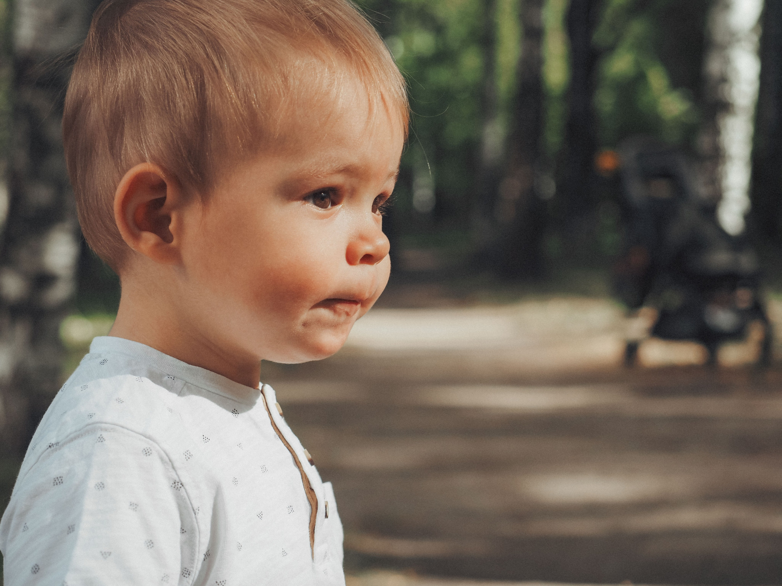 Привет осень!. Фотограф в Москве — Сергей Люкшинов