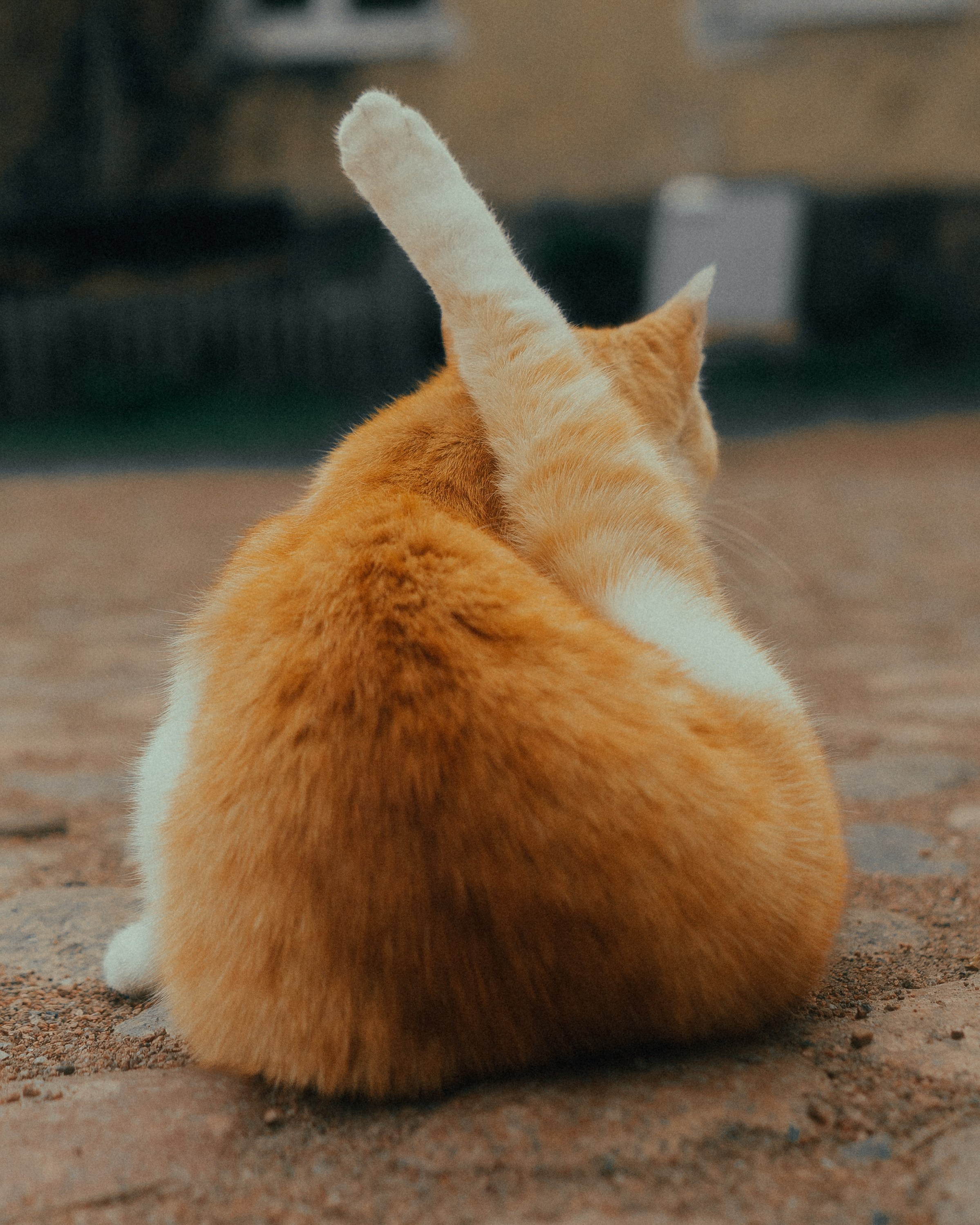 Городская съемка. Кутнов Владислав | Портретная и городская фотосессии | Санкт-Петербург