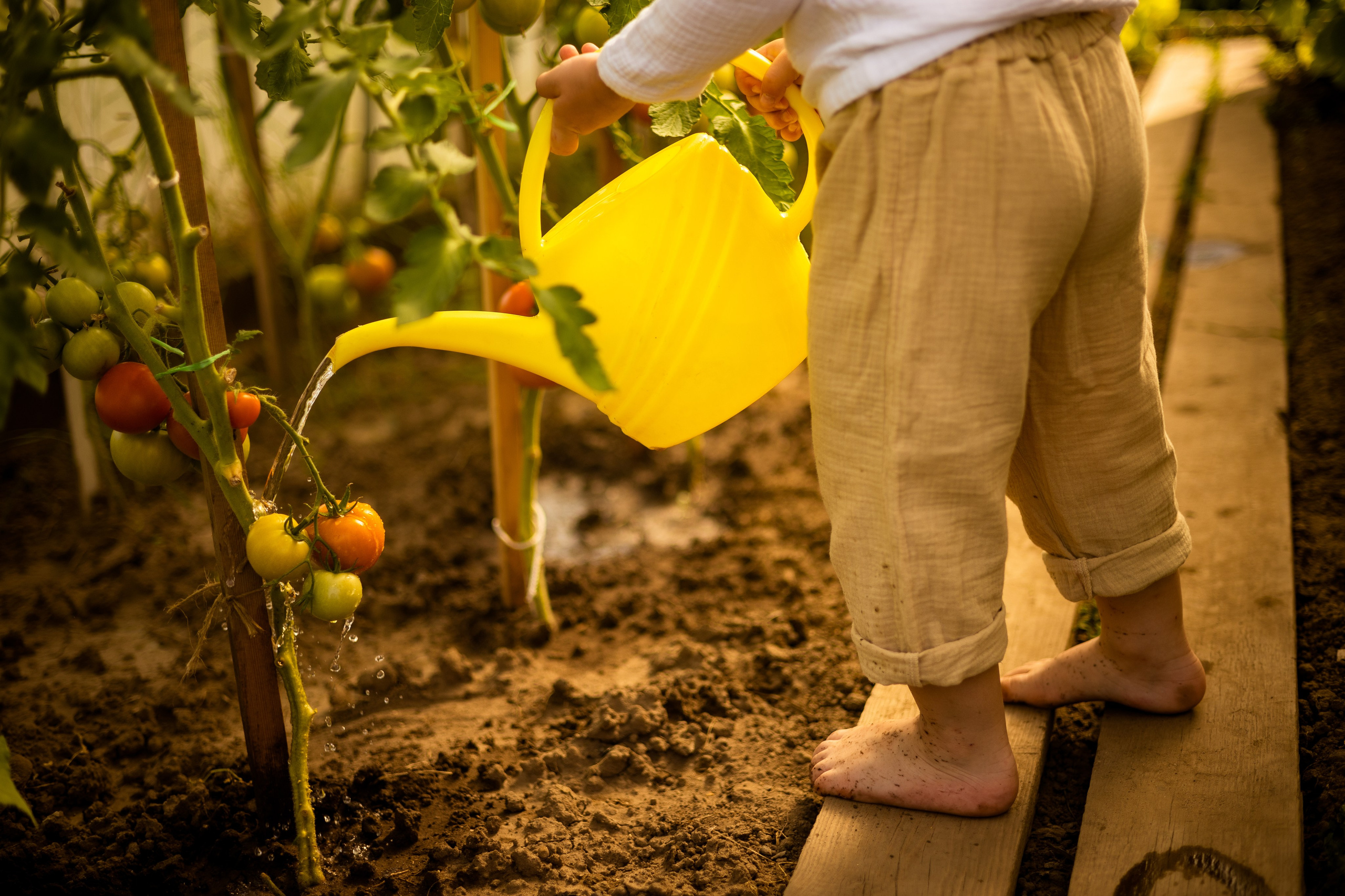 Детская фотосессия. Помидорки. Фотограф Самойлова Анна Архангельск, Северодвинск