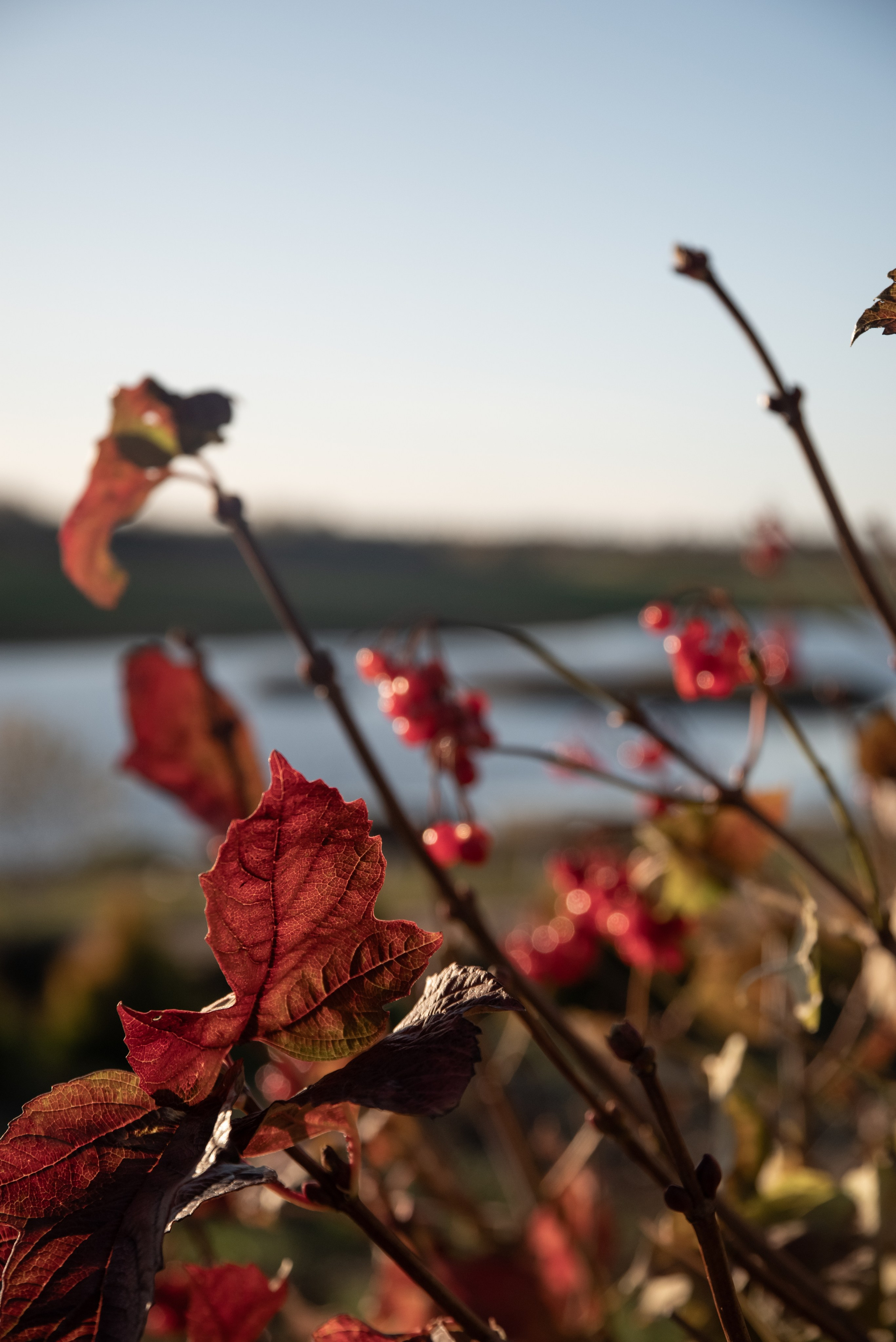 Корпоратив и оформление фотозоны в стиле ранчо). Фотограф Светлана Воронцова