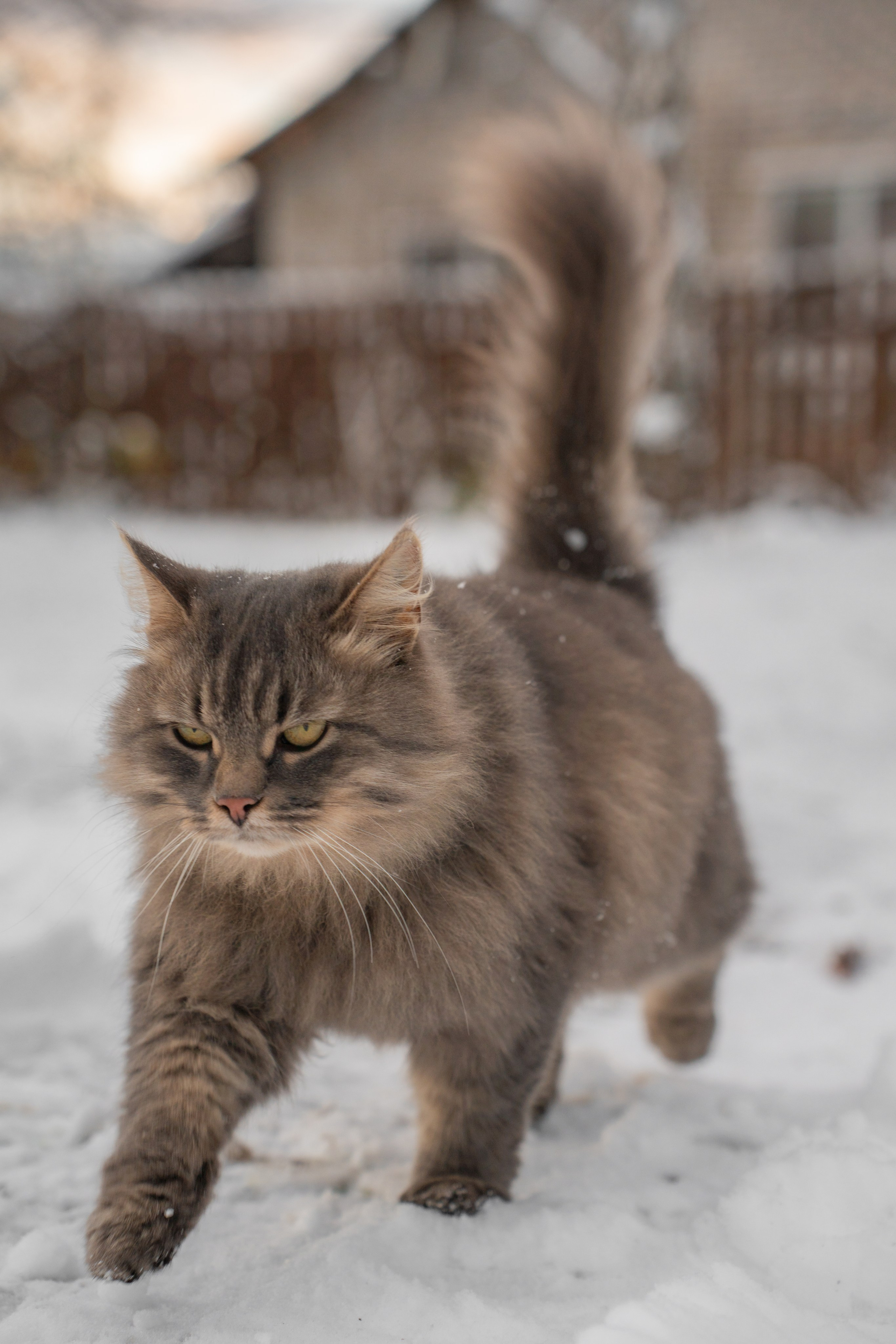 ATMOSPHERE. Фотограф Юрина Ксения Москва
