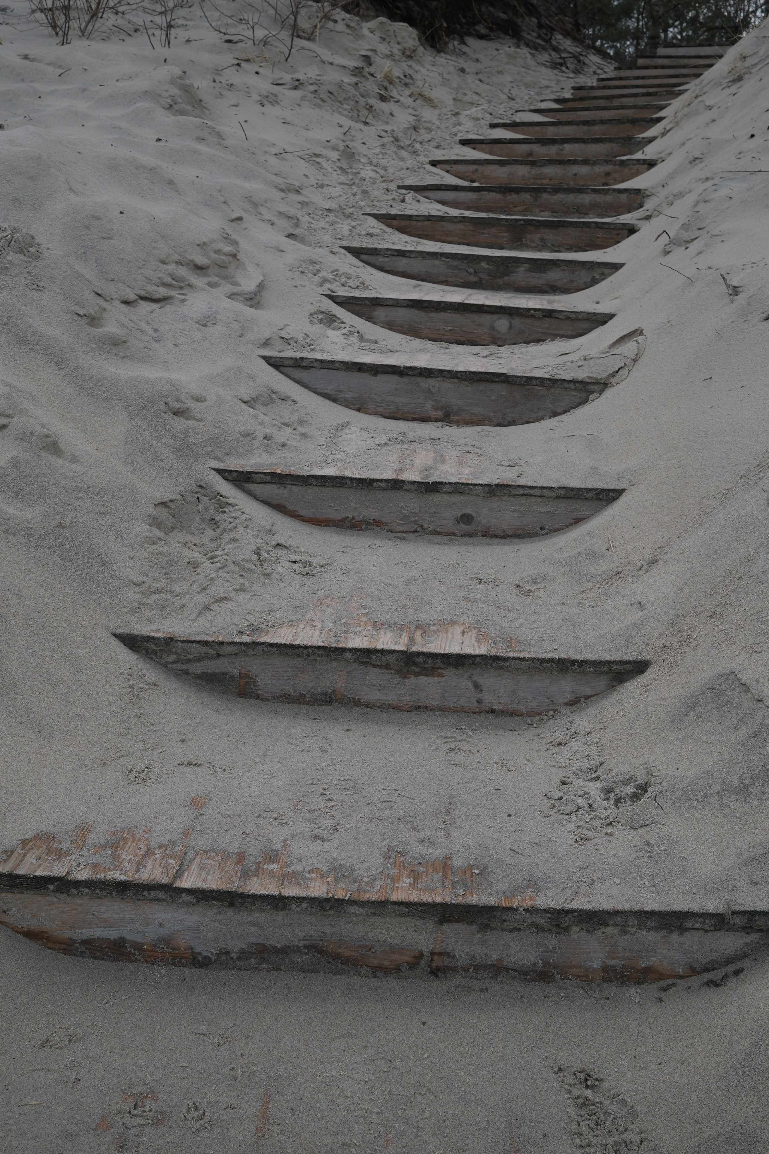 Зеленоградск. Калининградская область. Алексей Торопов фотограф