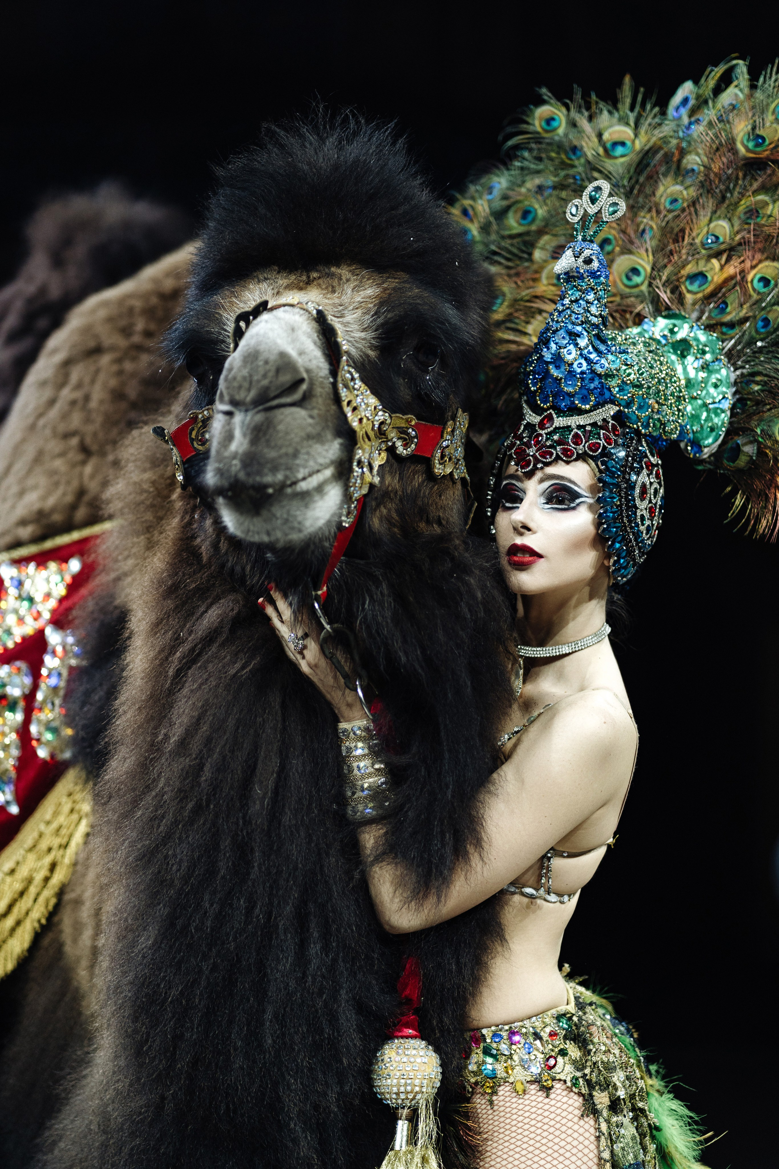 Песчаная сказка. Свадебный фотограф  Ростов-на-Дону Моска, Санкт — Петербург