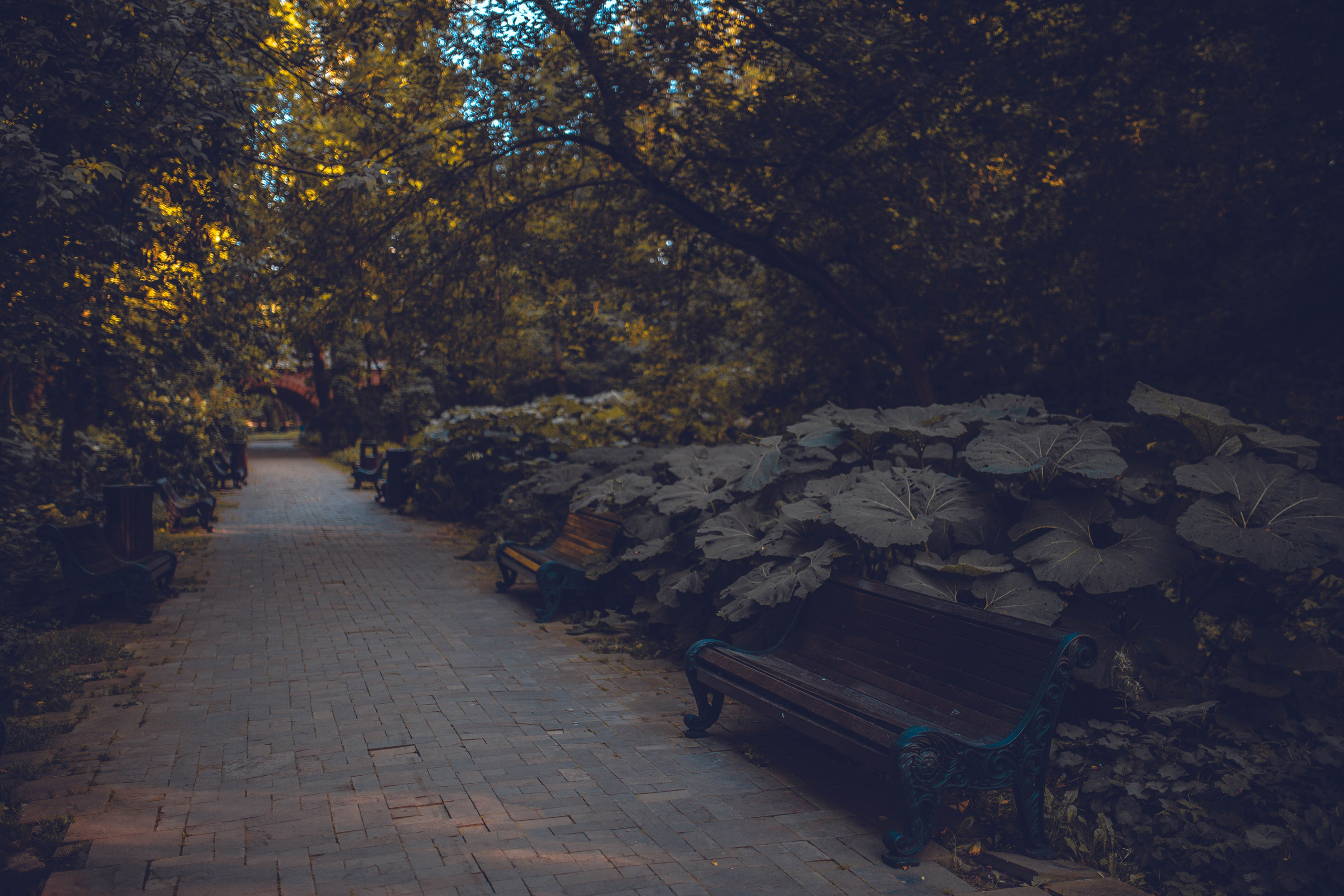 Флора и фауна. Sergey Shapovalov, фотограф, видеограф, графический дизайнер, монтажер
