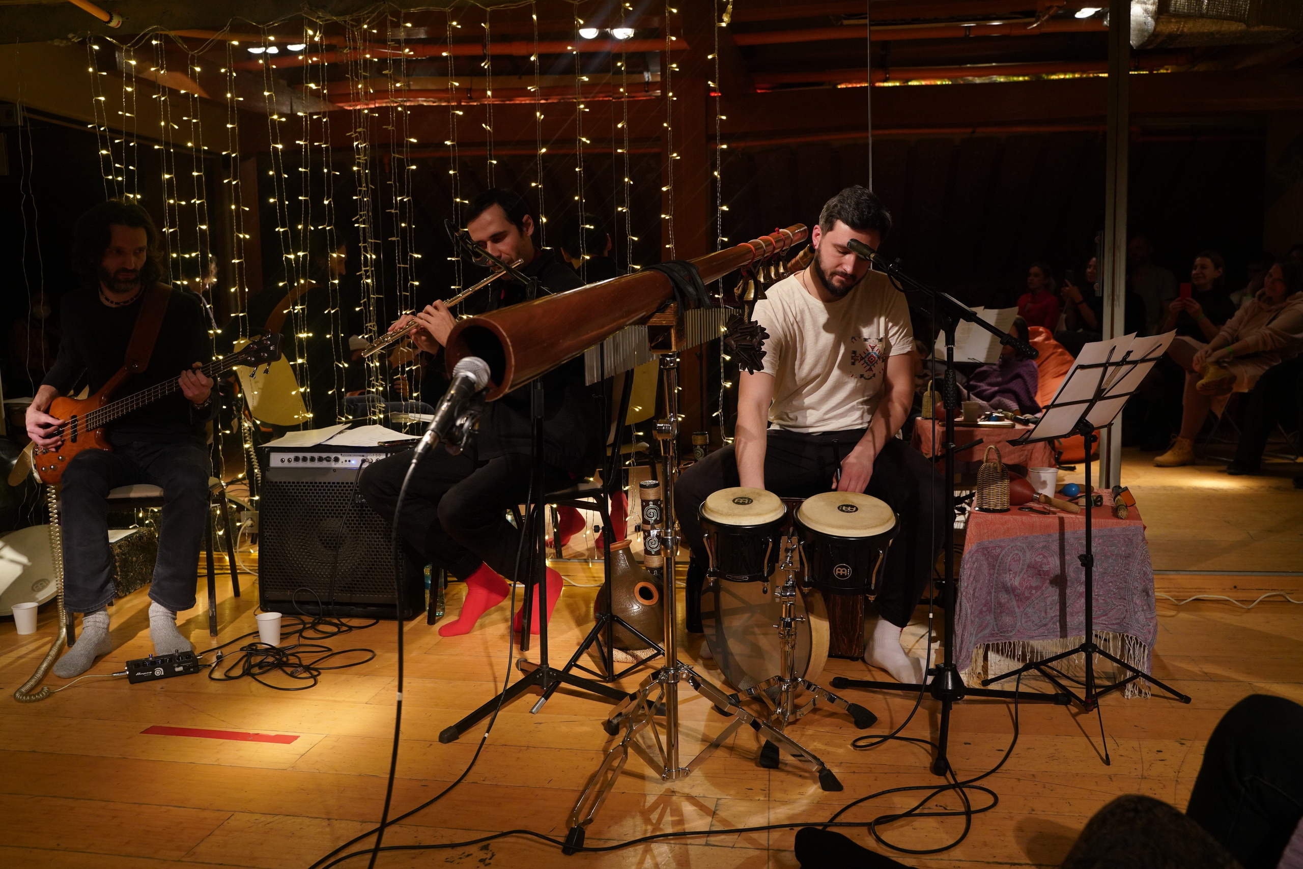 Концерт Forest jam project. Портретный и репортажный фотограф Наталья Горобец