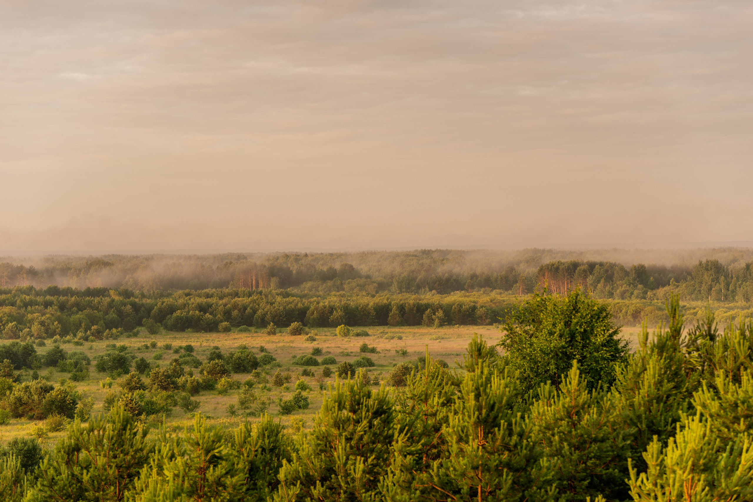 Туманное летнее утро. Фотограф в Ветлуге Сергей Белов (VETLUGA B.S.)