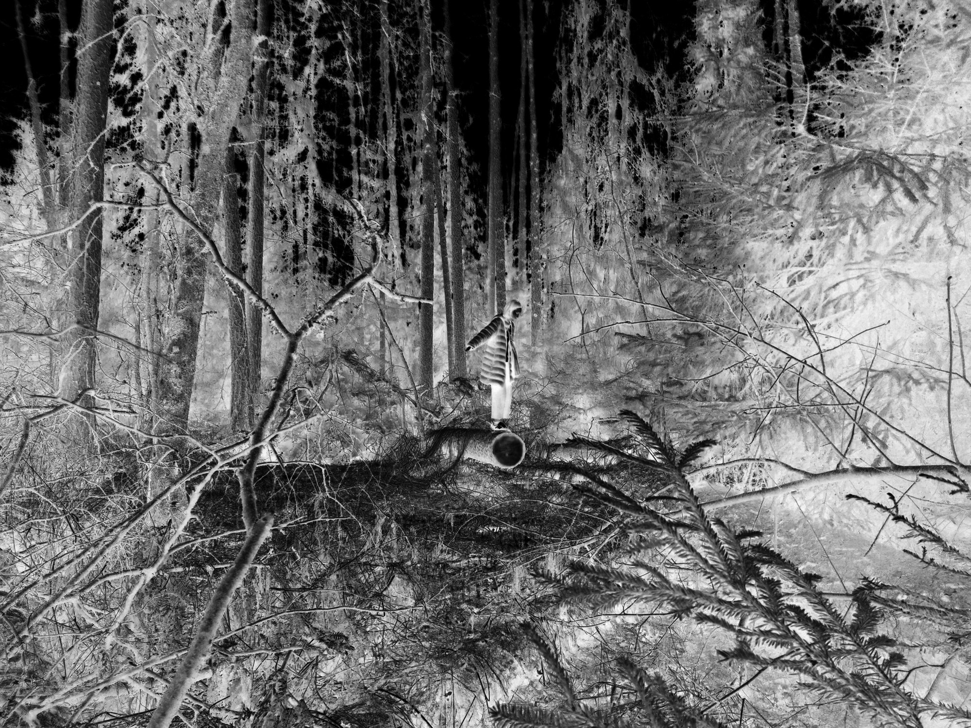 Teplushka project. Янина болдырева Yanina Boldyreva