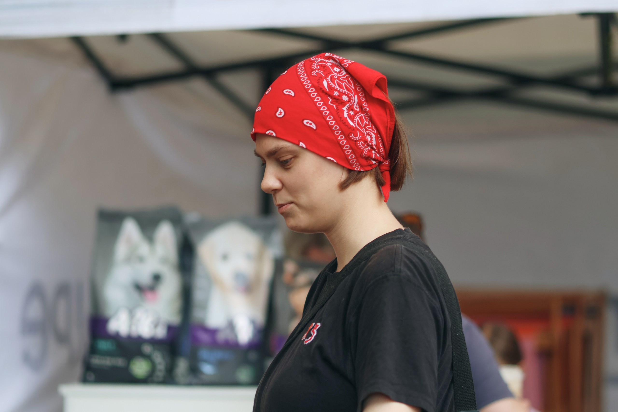 Четыре Лапы. Свадебный и репортажный фотограф Дмитрий Кононенко