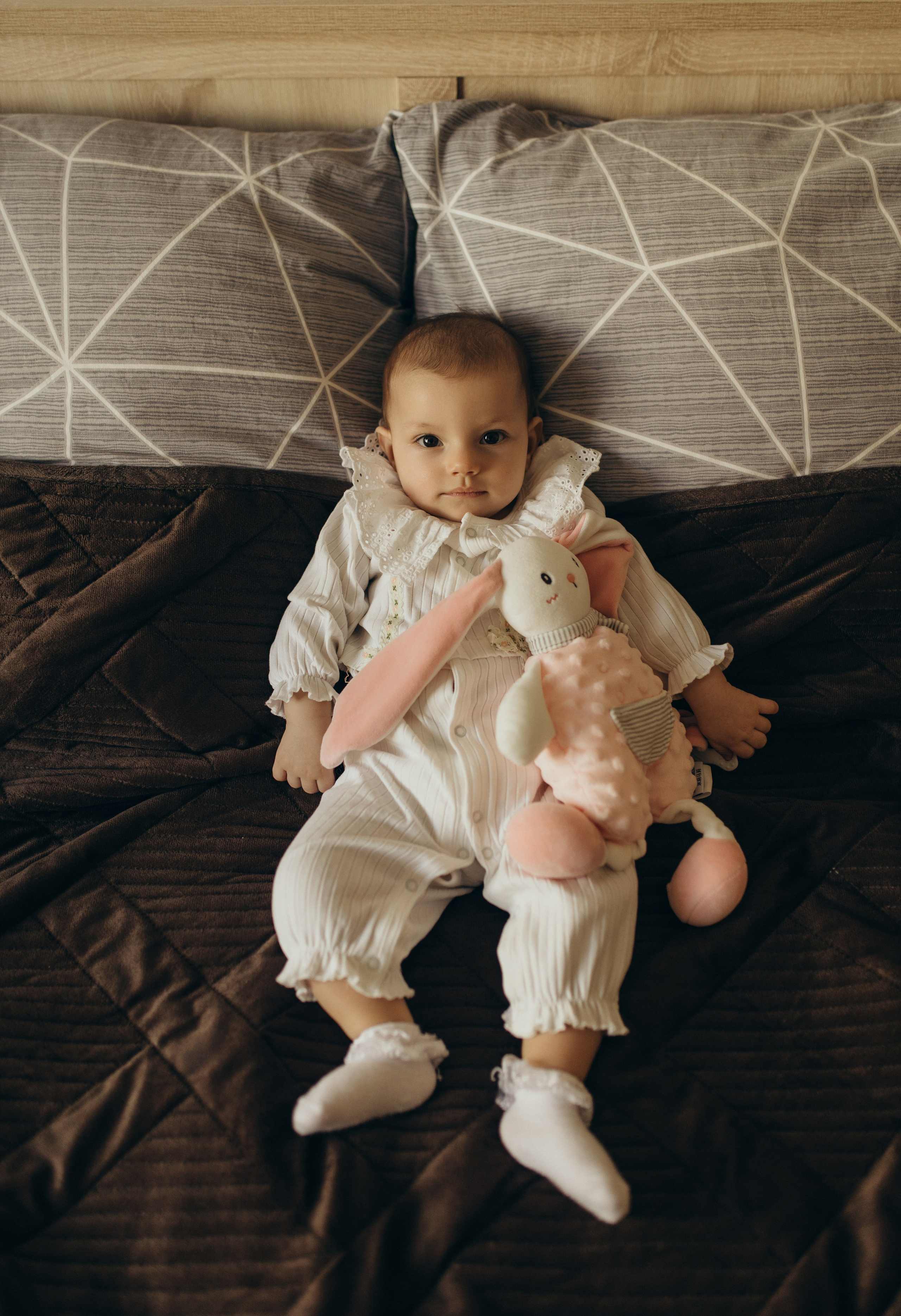 Домашняя история. Meryfotoidea